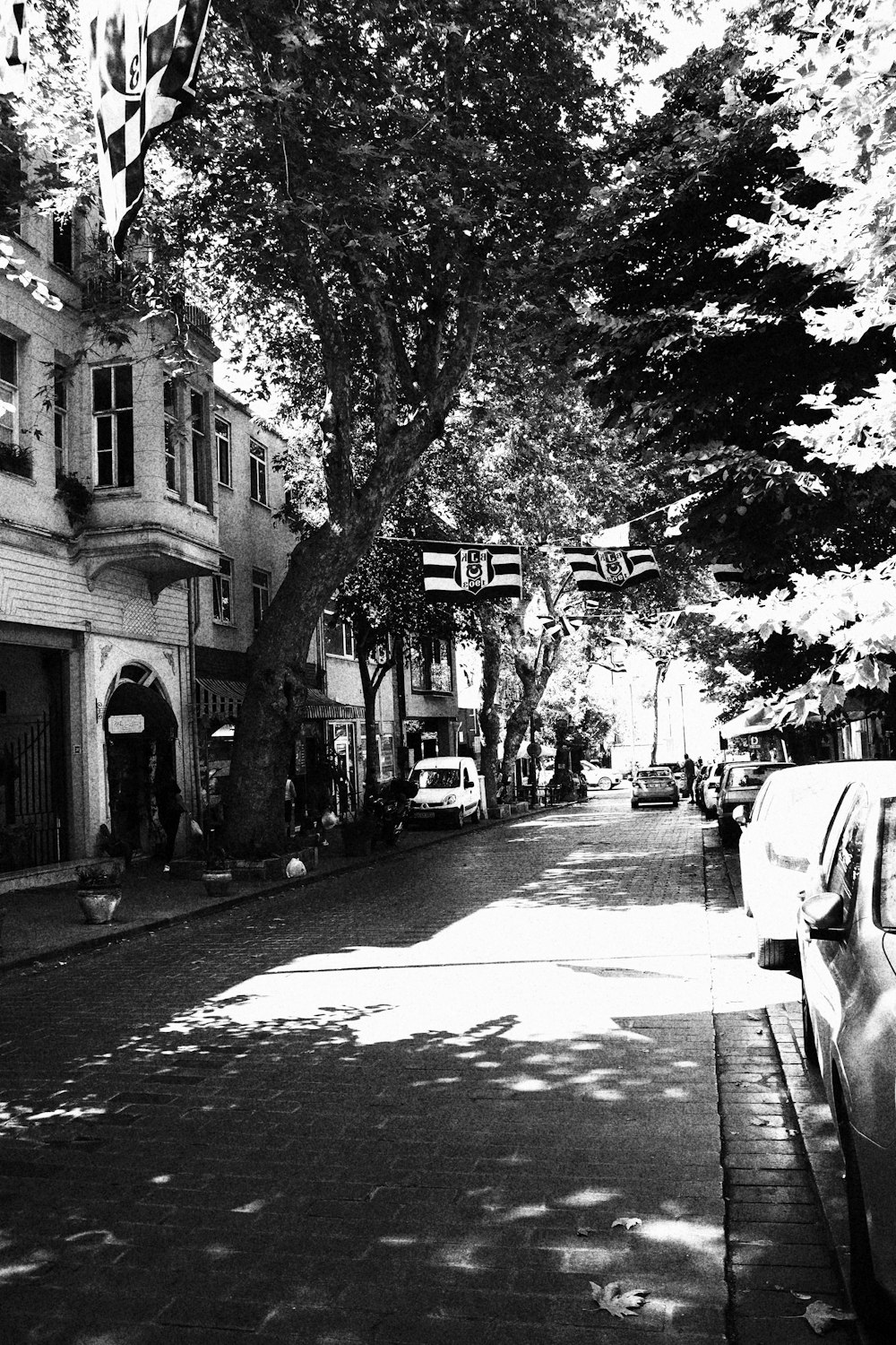 grayscale photo of man walking on sidewalk near trees and buildings