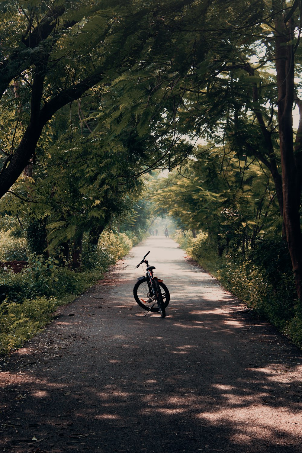 black bicycle on road between green trees during daytime