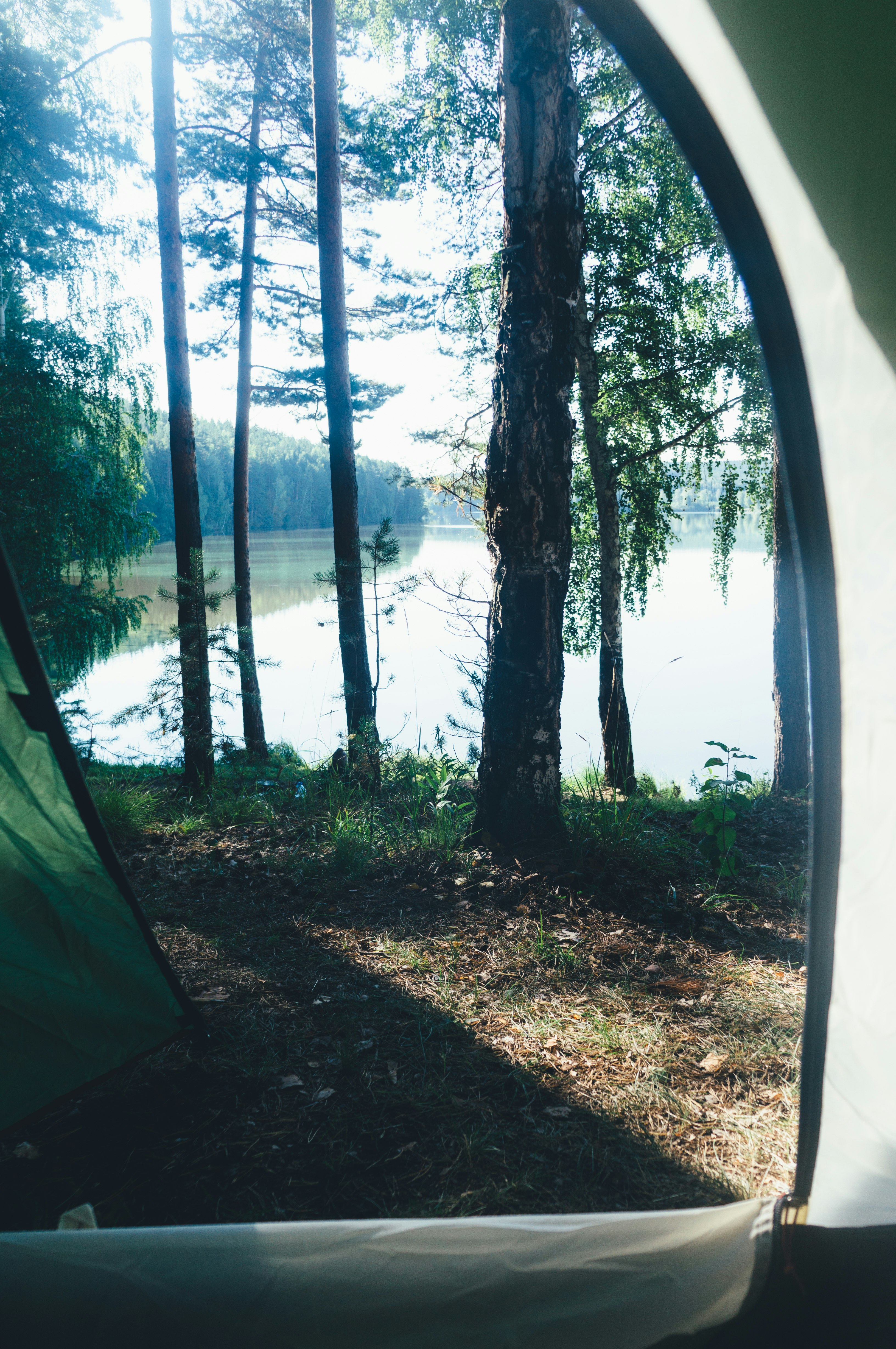 green tent near lake during daytime