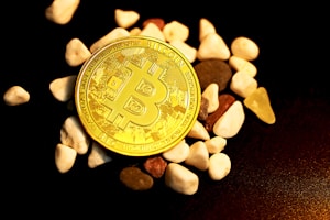 A physical representation of a Bitcoin sits among scattered small, smooth stones on a dark surface. The Bitcoin is prominently placed in the center, showcasing its intricate design and golden color.