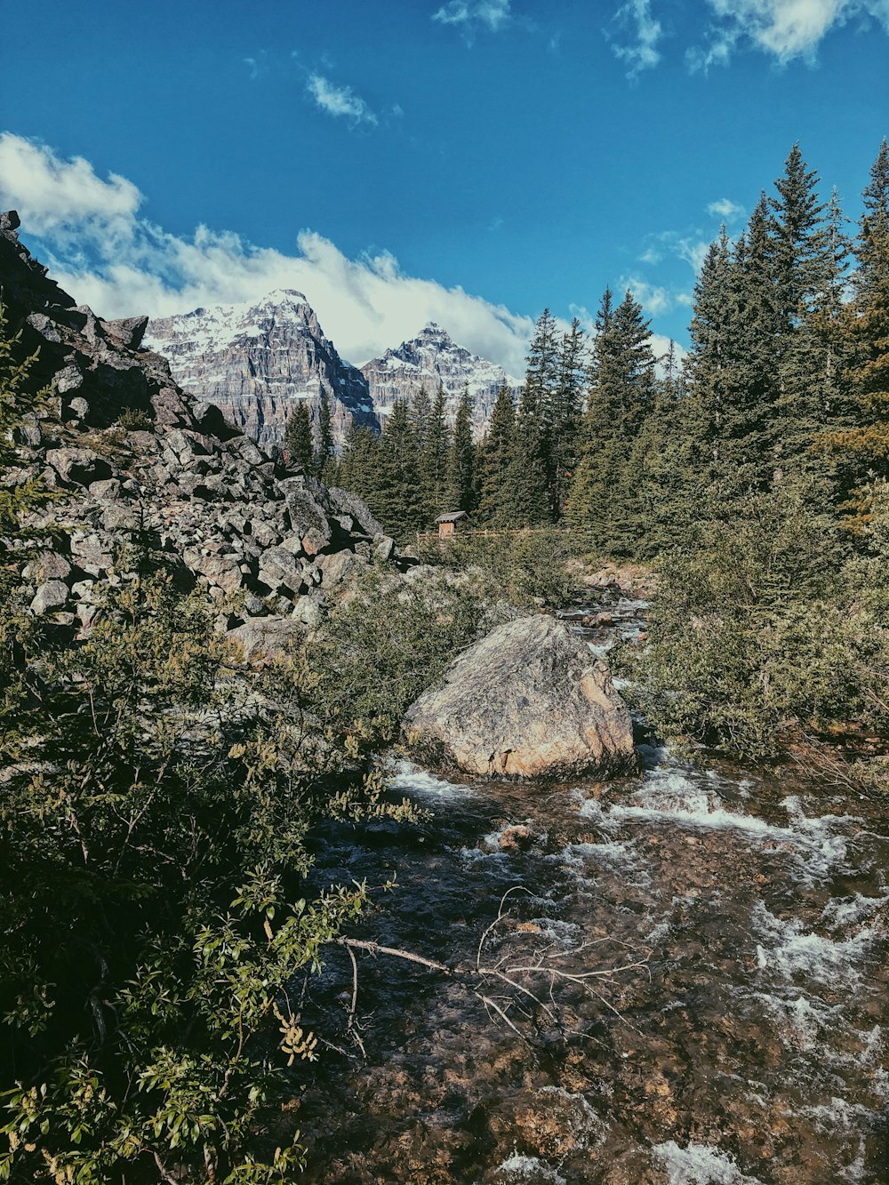 green trees near lake and mountain under blue sky during daytime