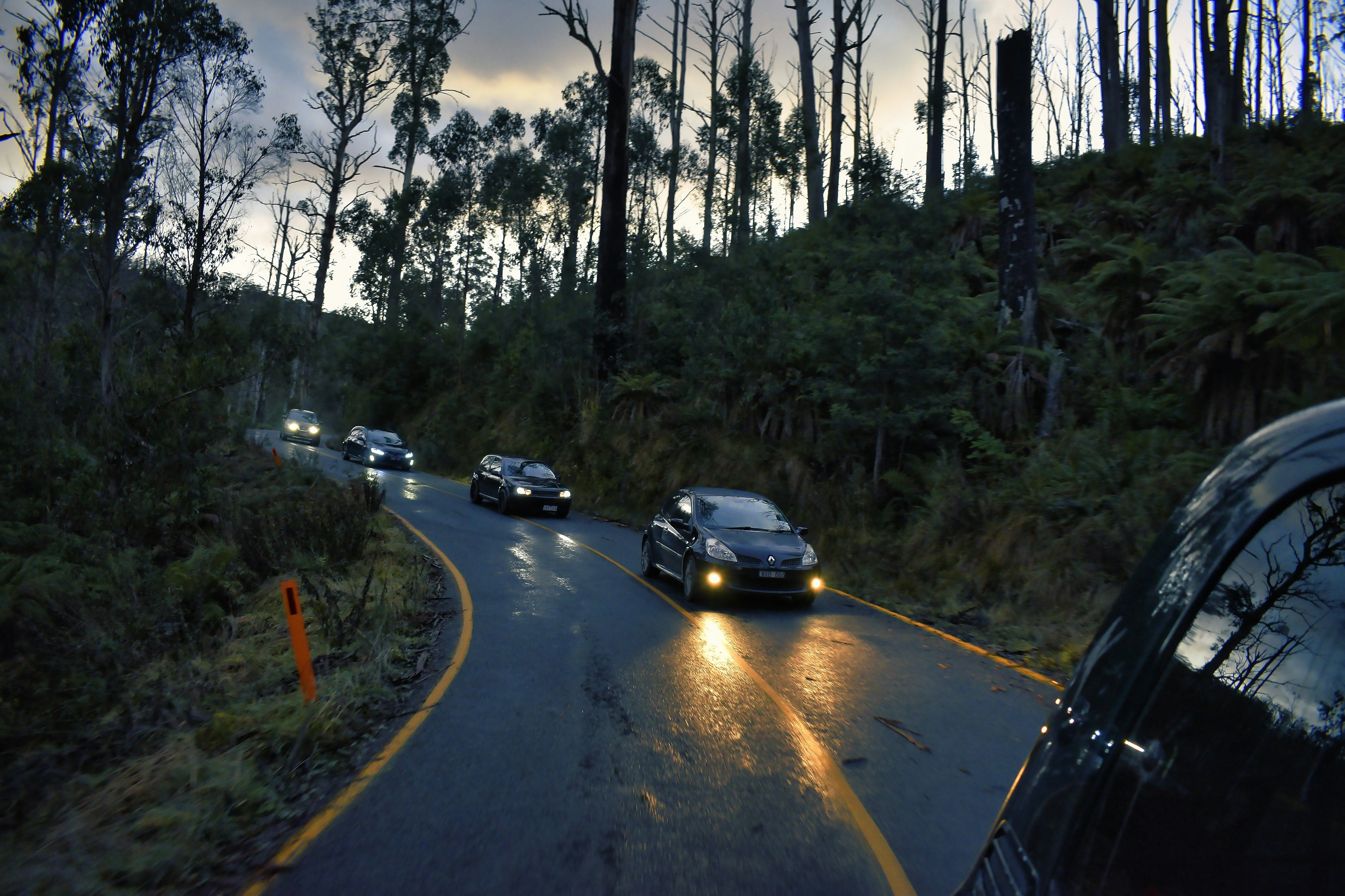 cars on road between trees during daytime