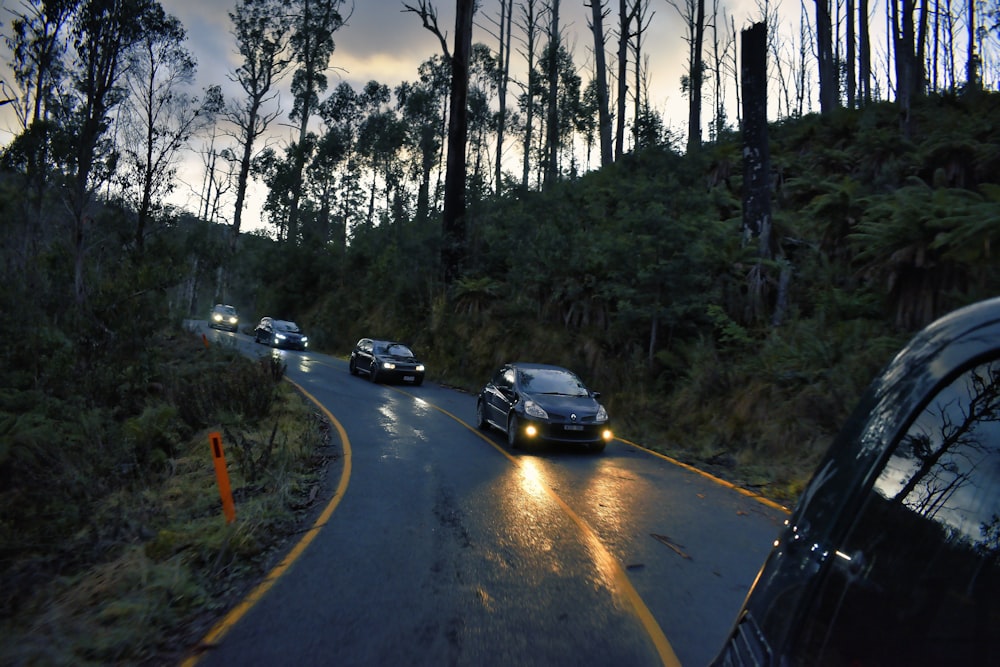 cars on road between trees during daytime