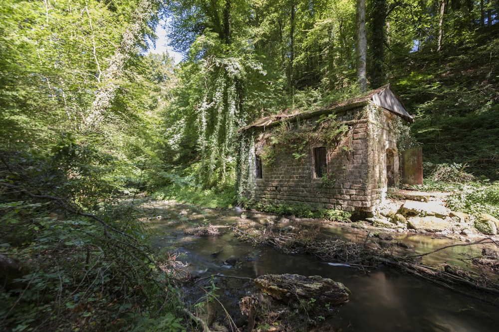 brown wooden house on river