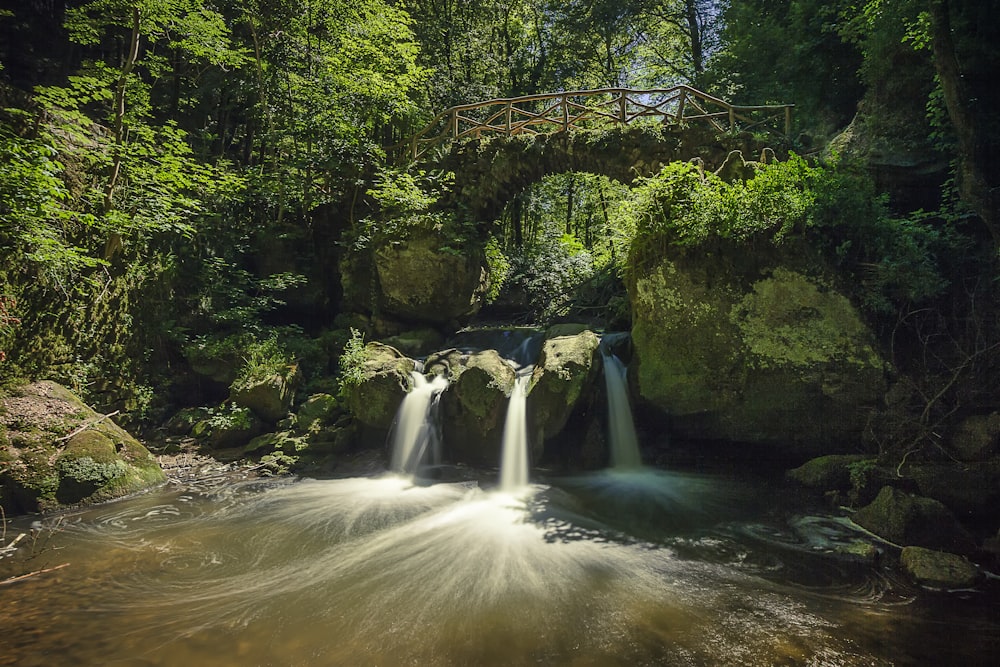 waterfalls in the middle of green trees