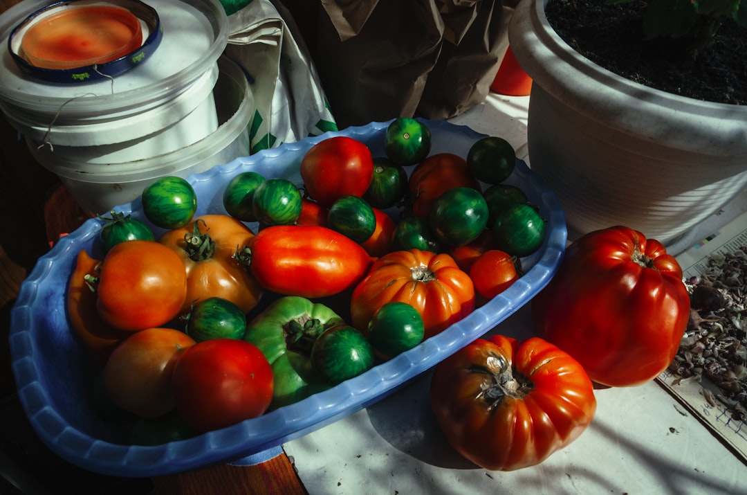 red and green bell peppers on blue ceramic bowl