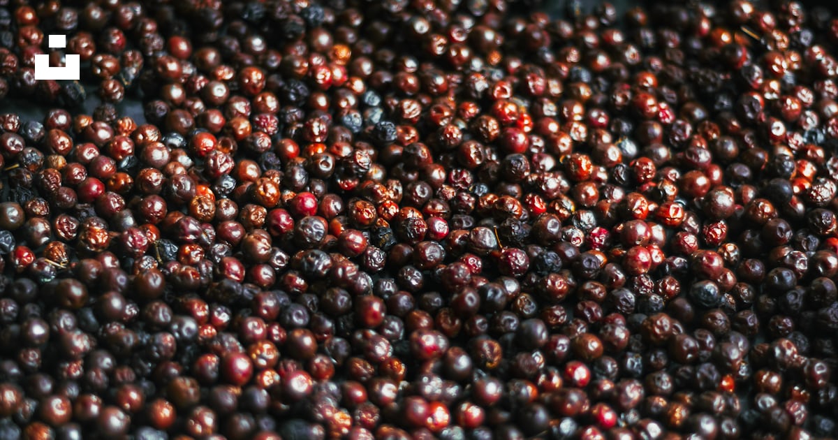 Fruits ronds rouges et noirs photo – Photo Aliments Gratuite sur Unsplash