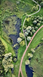 aerial view of green grass field and river