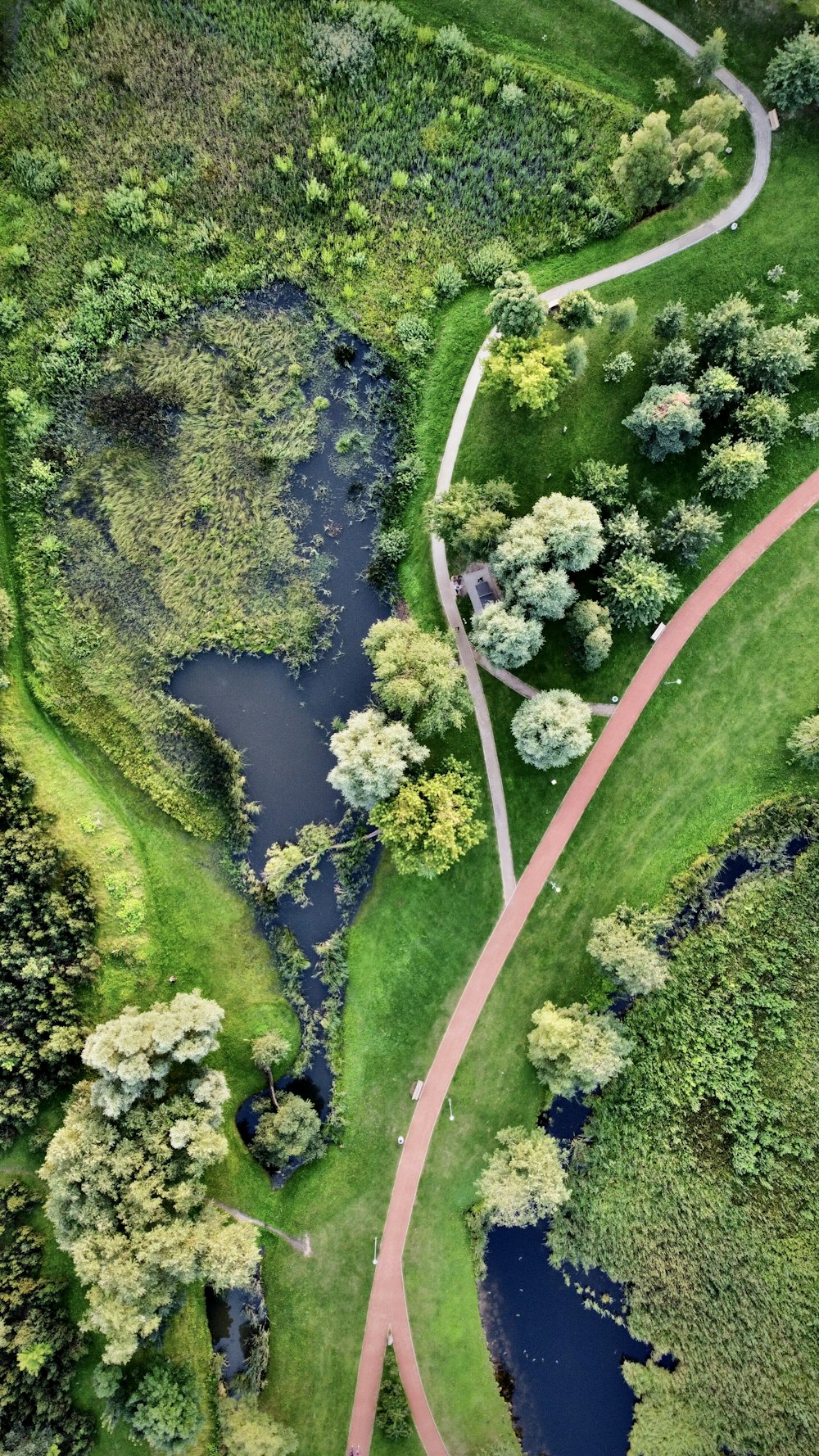 aerial view of green grass field and river