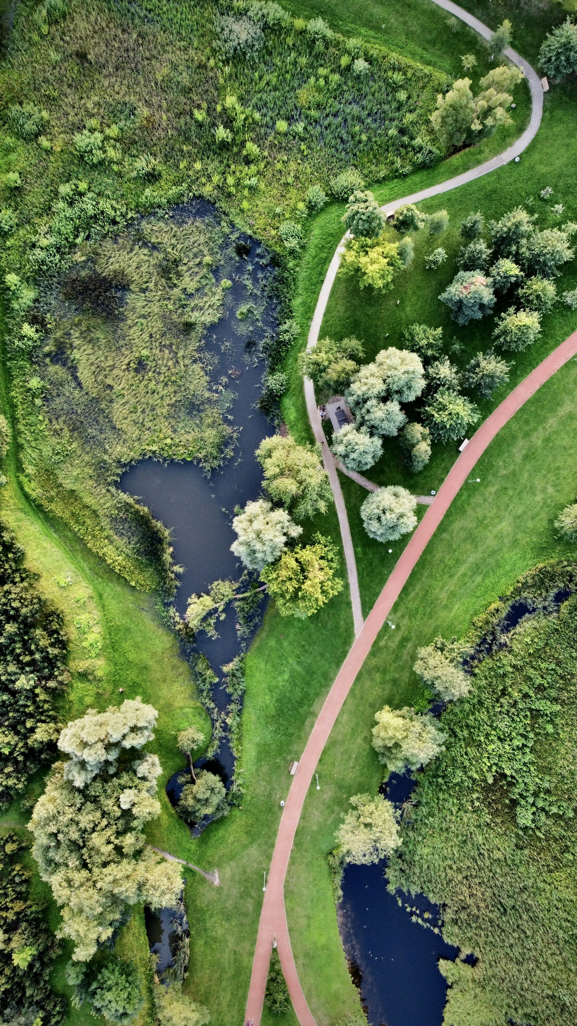 aerial view of green grass field and river
