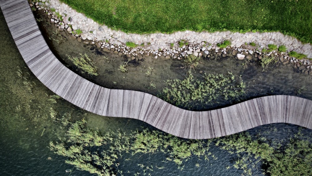 aerial view of green trees and river