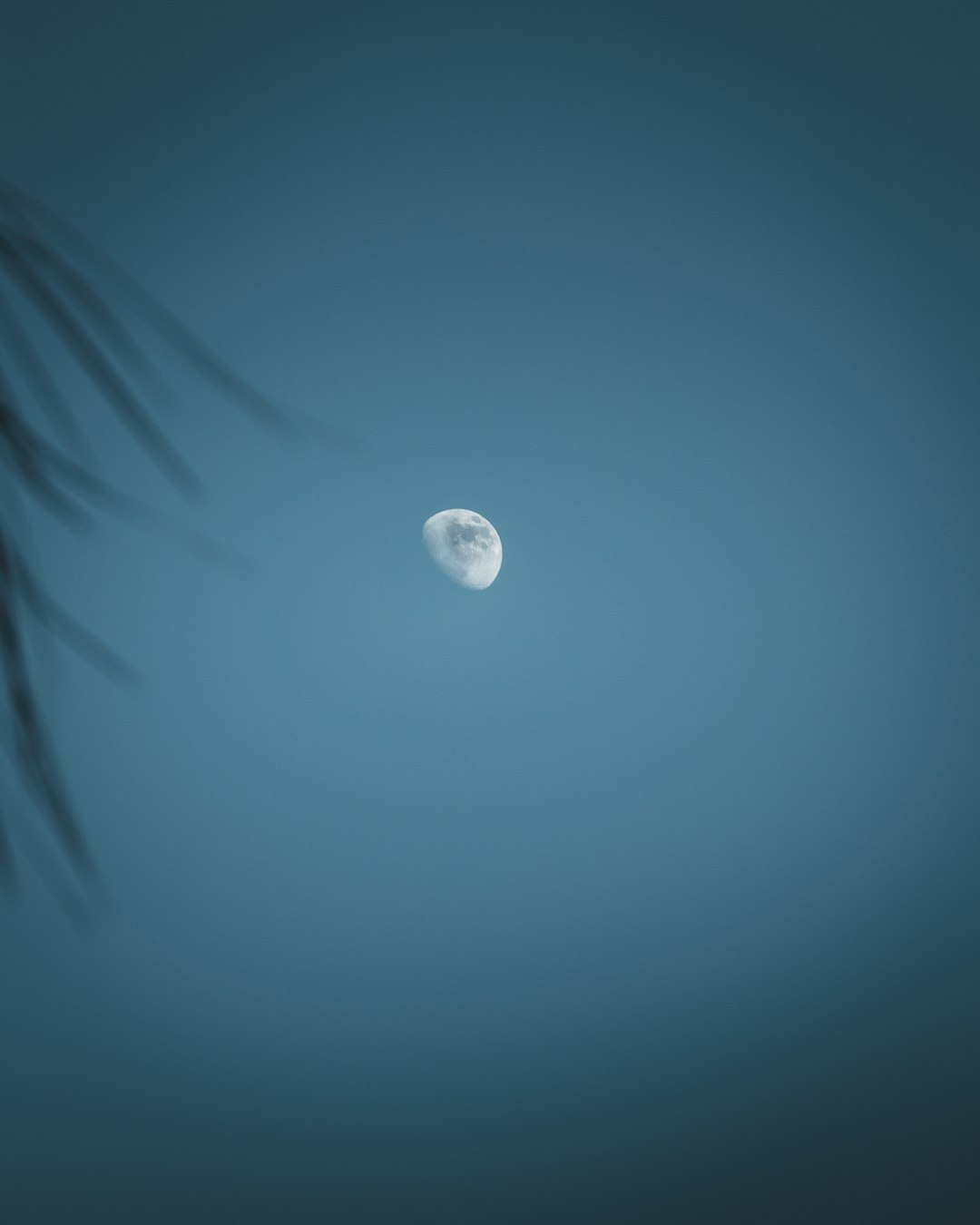 white moon in blue sky