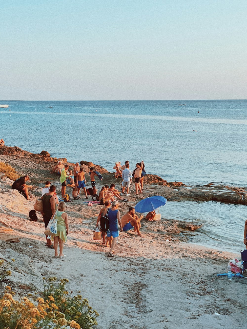 people on beach during daytime