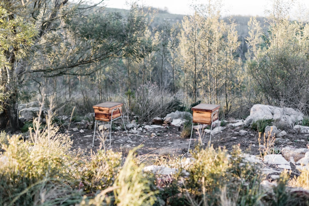 brown wooden chair on rocky ground