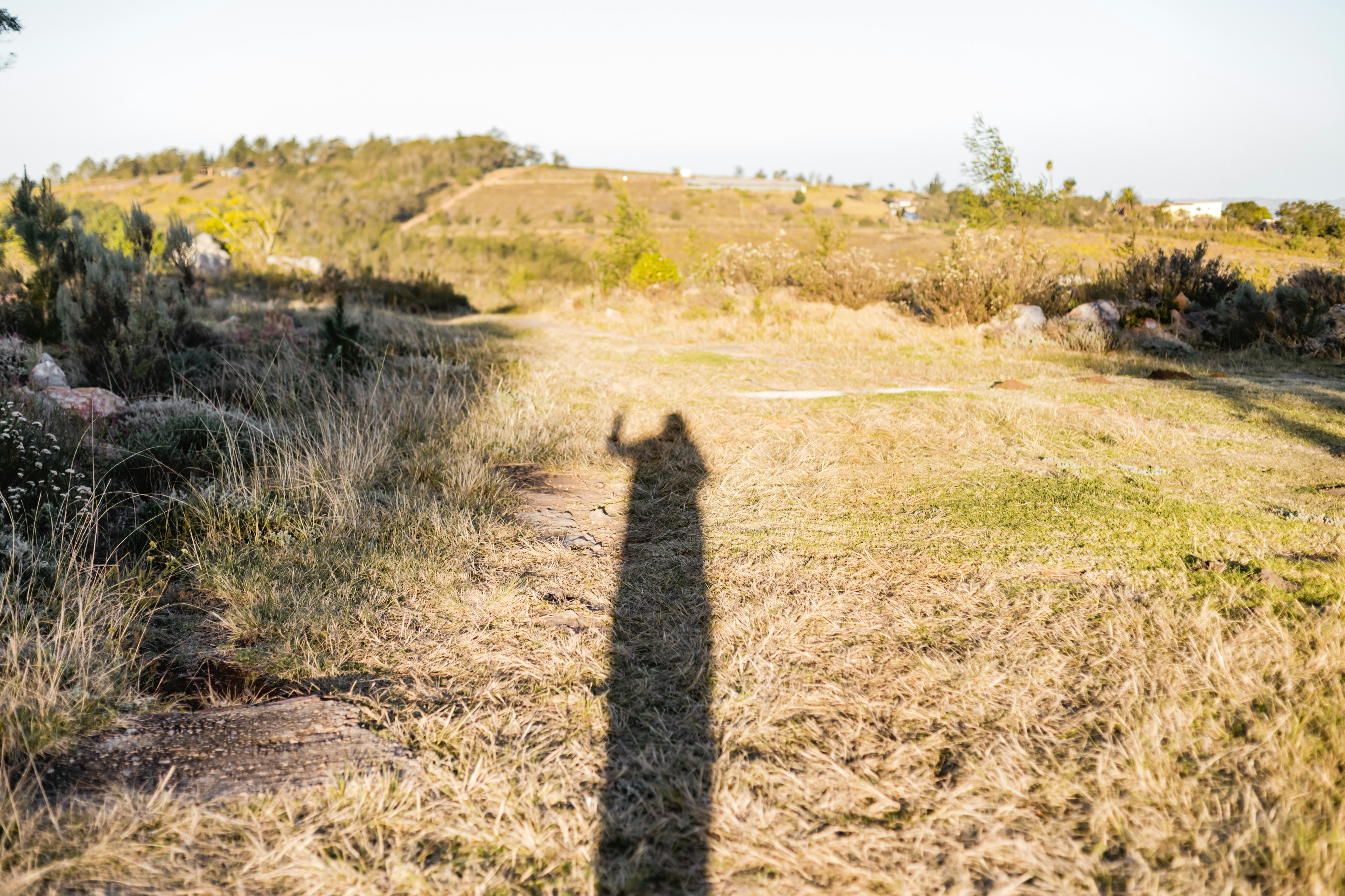 Photo by sincerelymedia