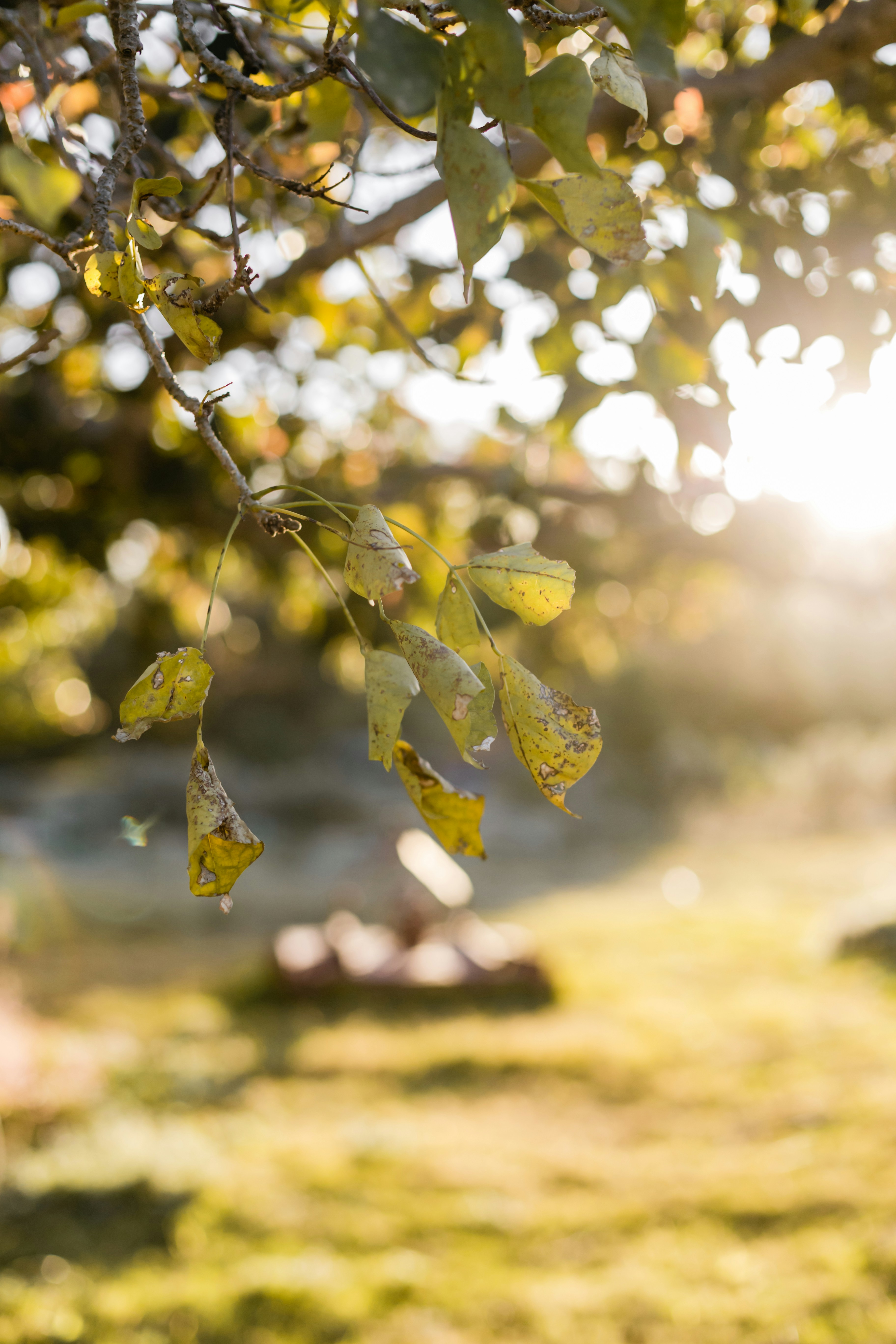 Photo by sincerelymedia