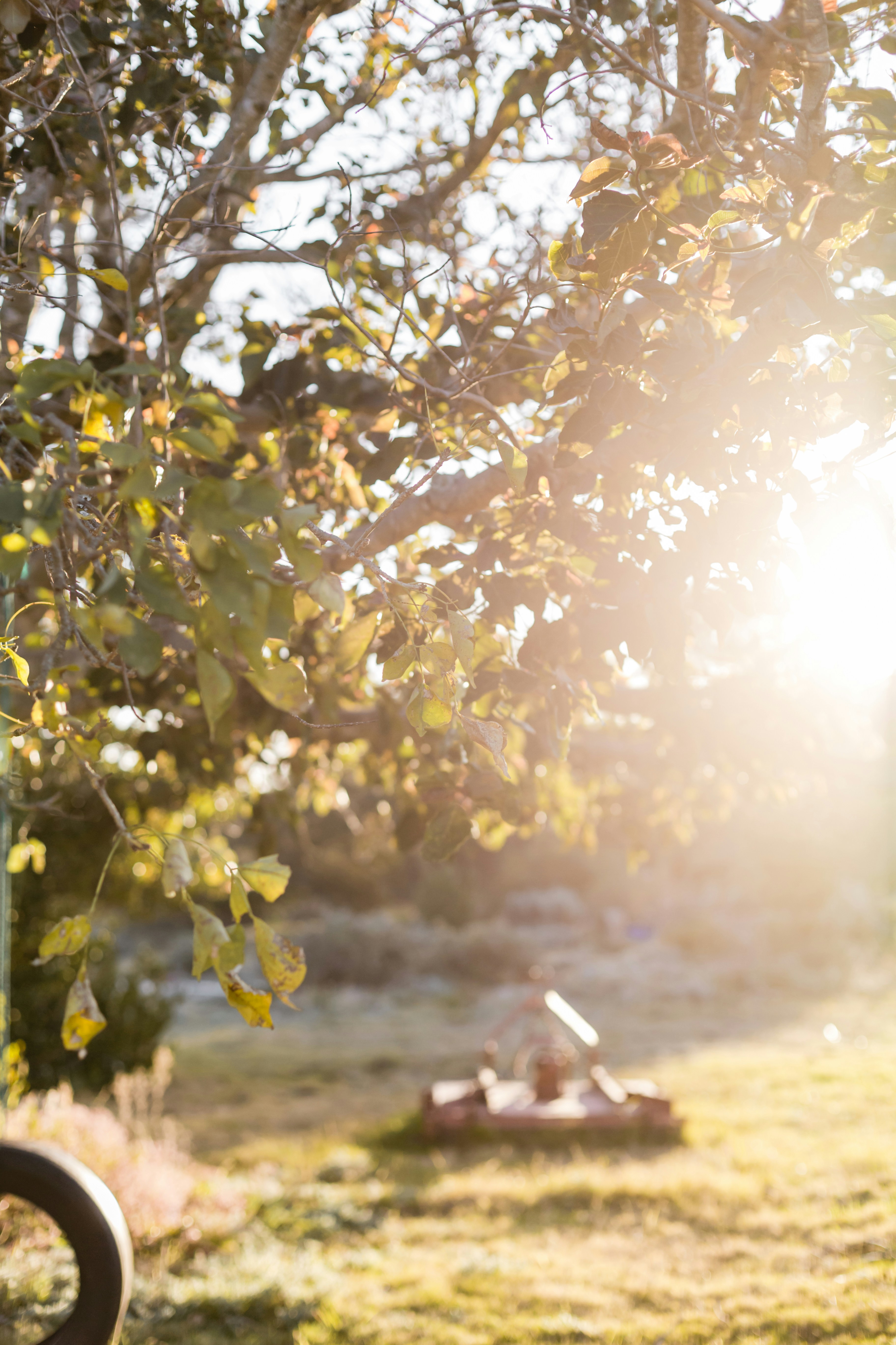 Photo by sincerelymedia