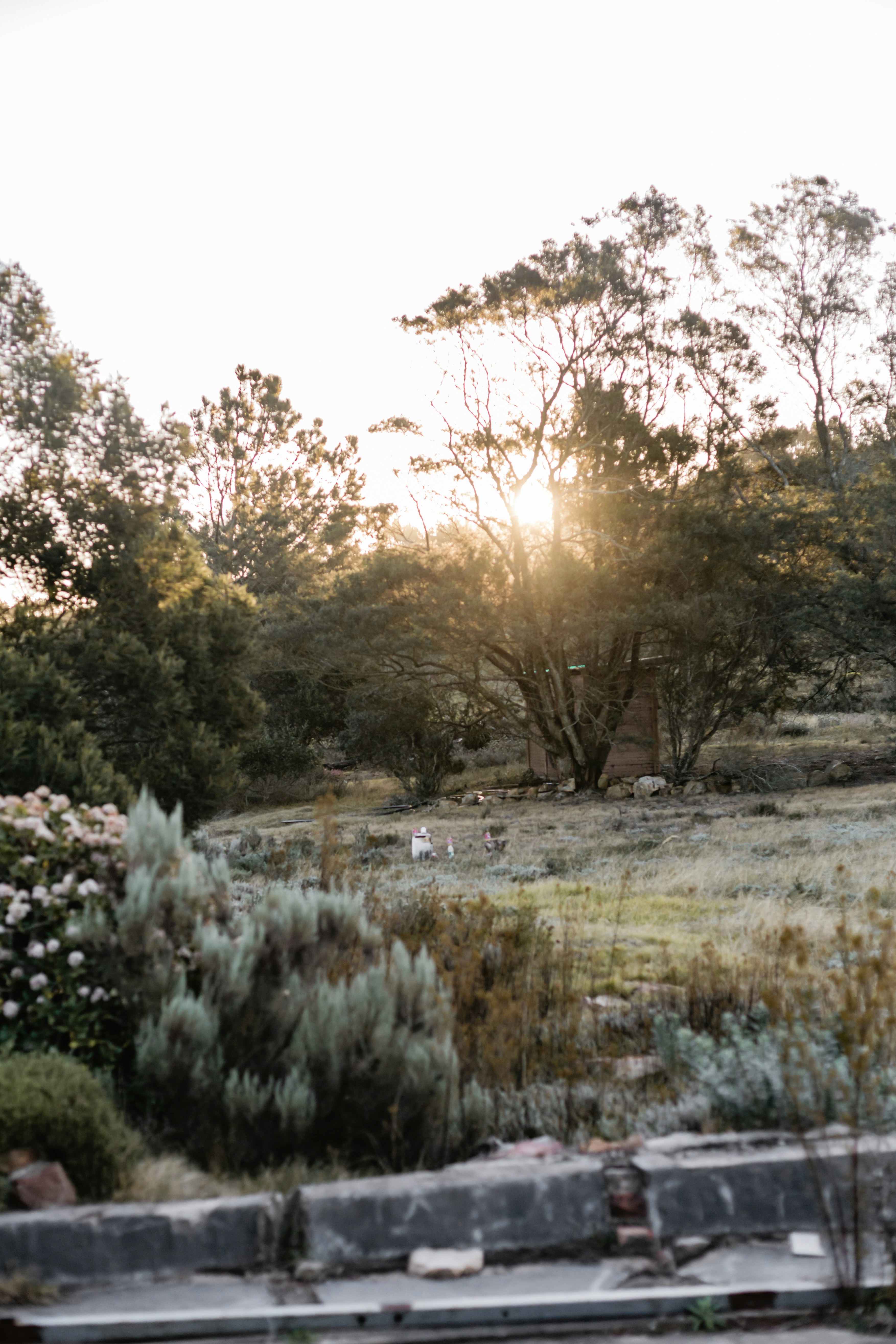 Photo by sincerelymedia