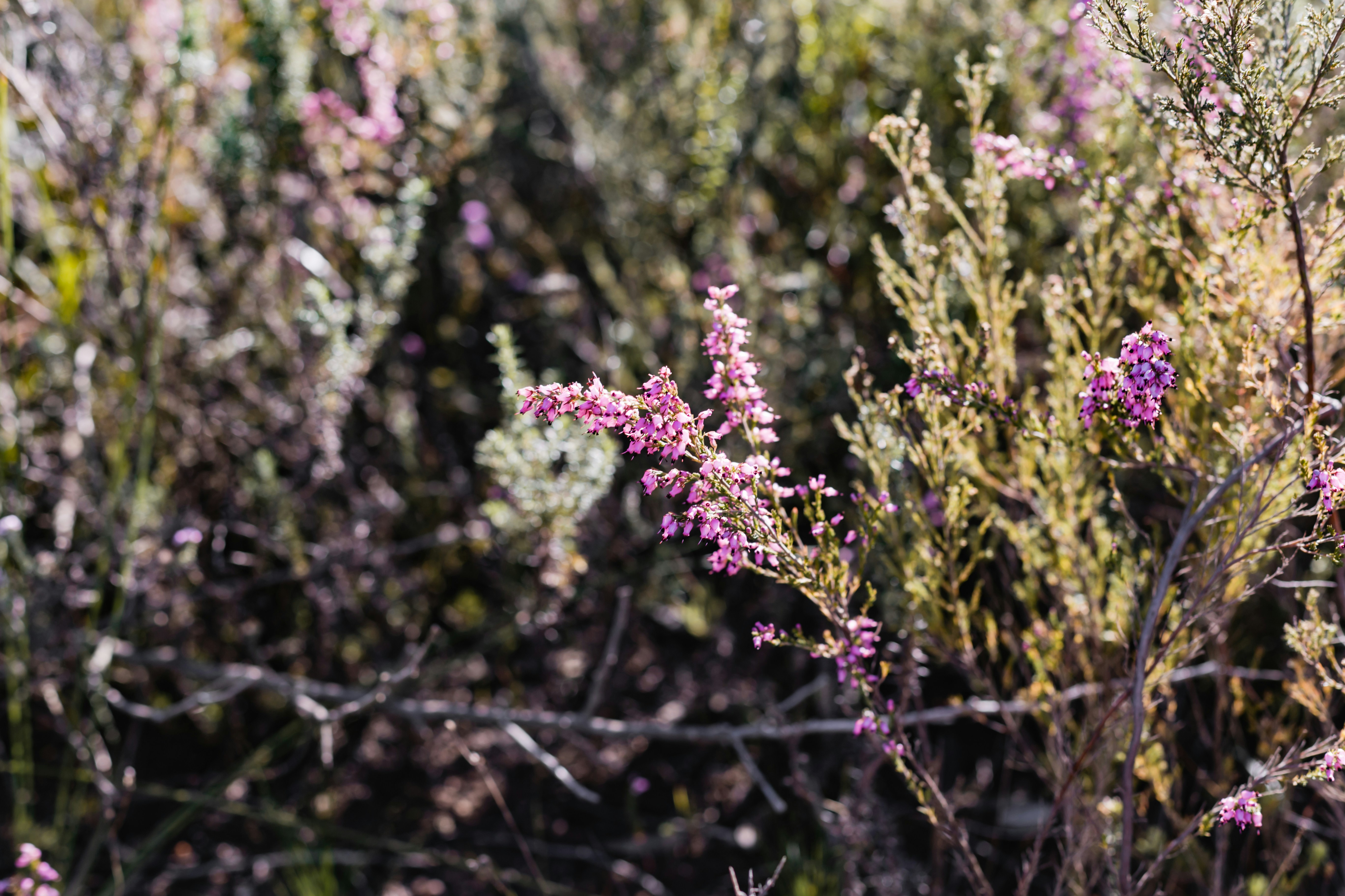 Photo by sincerelymedia