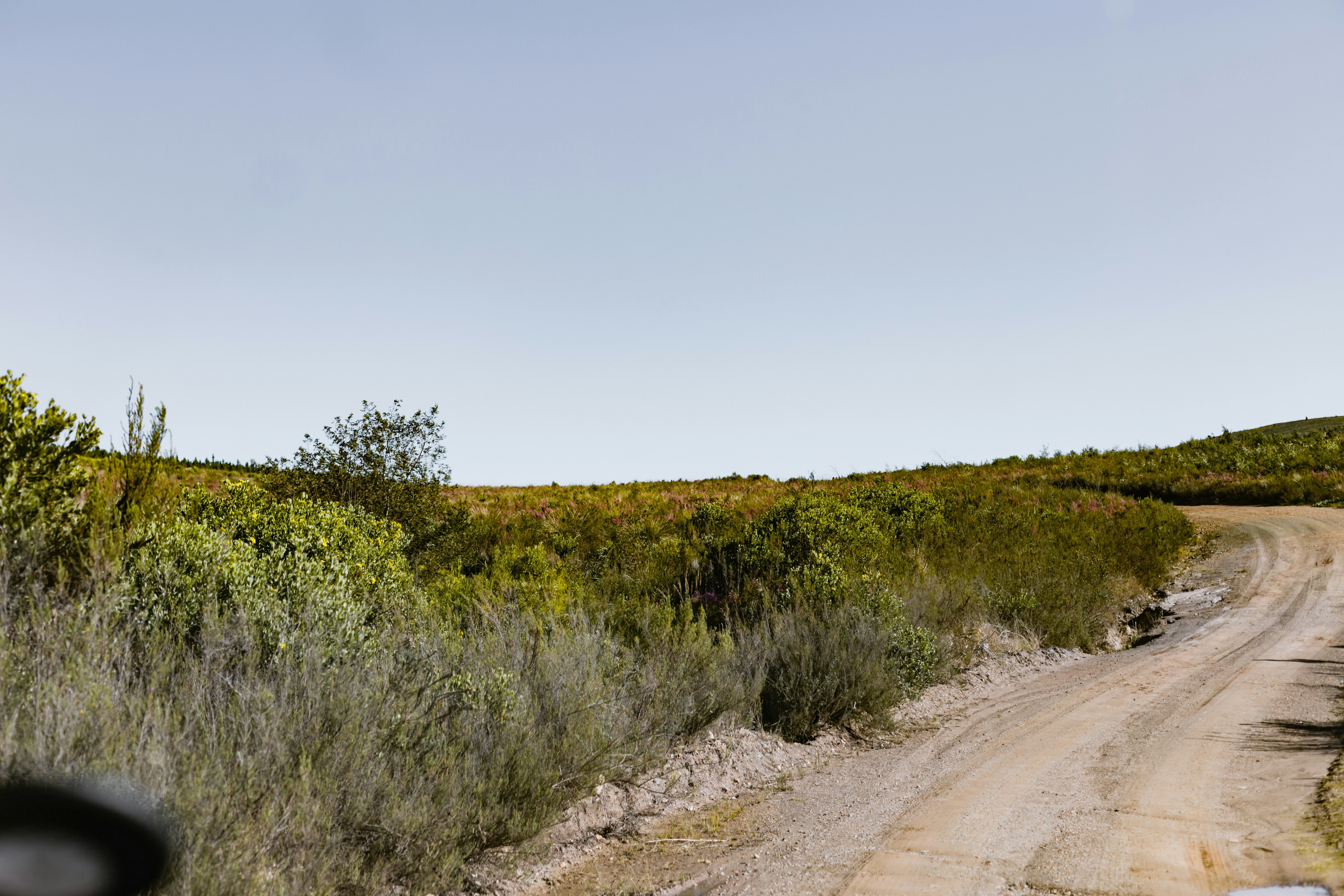 Photo by sincerelymedia