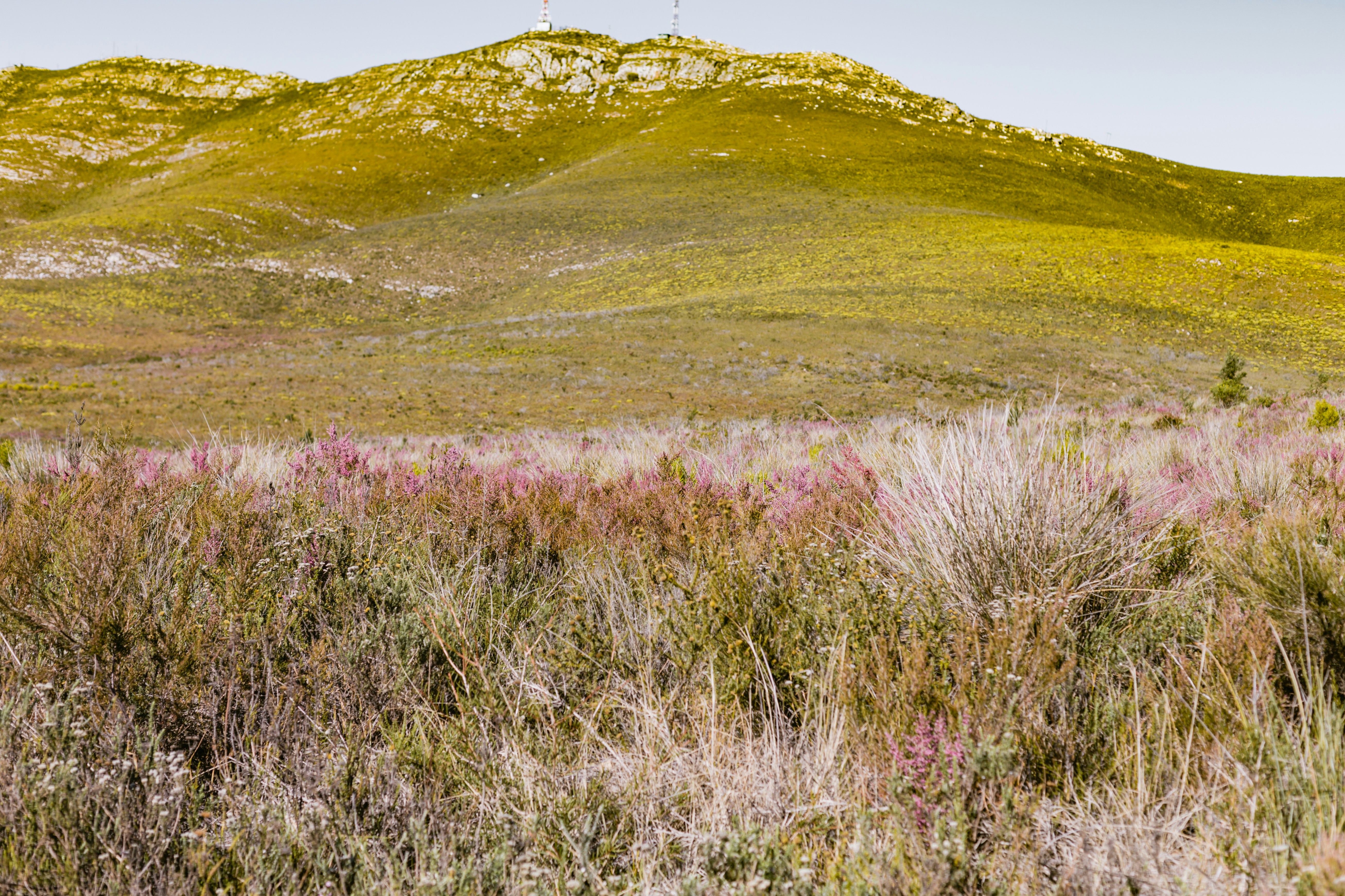 Photo by sincerelymedia