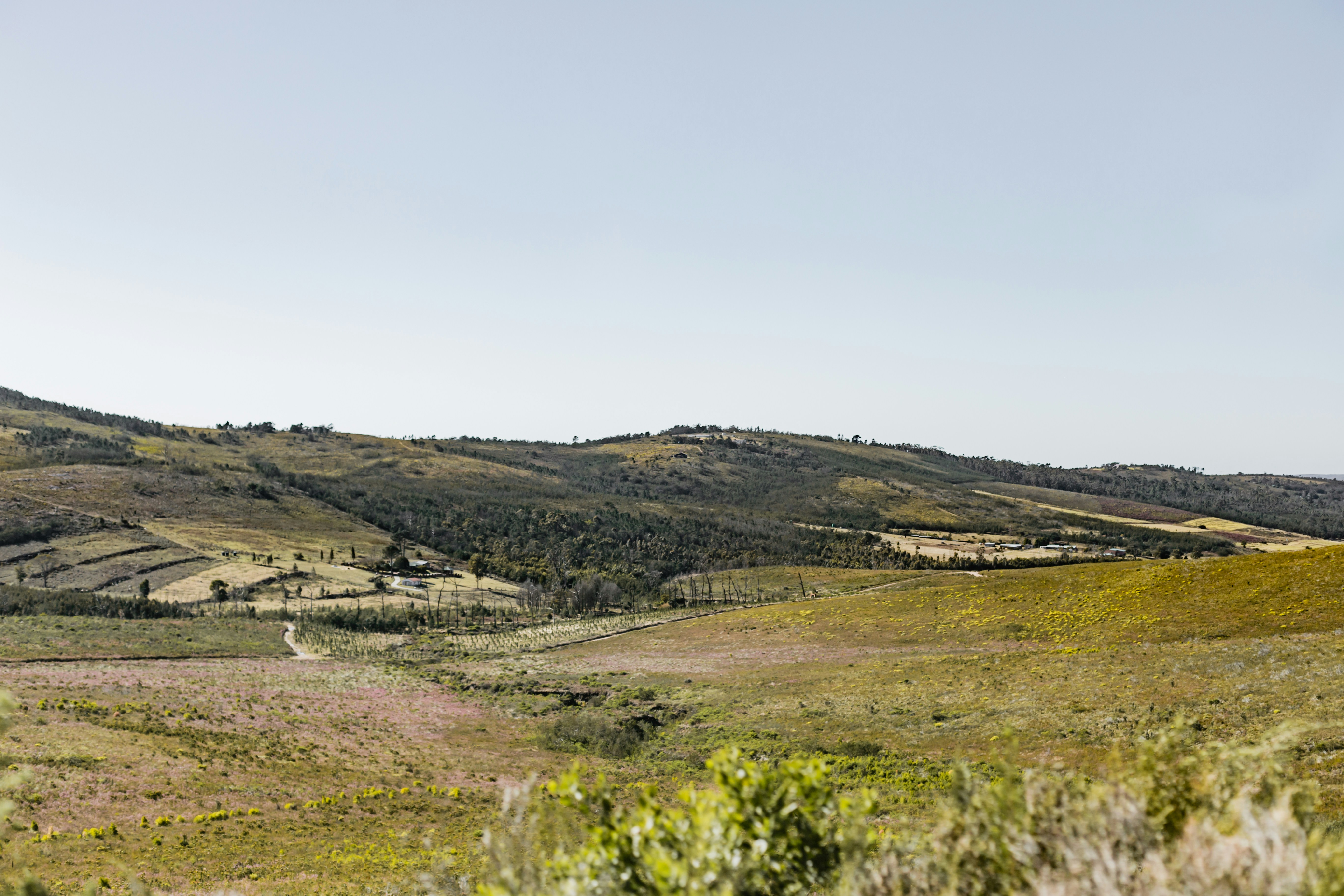 Photo by sincerelymedia