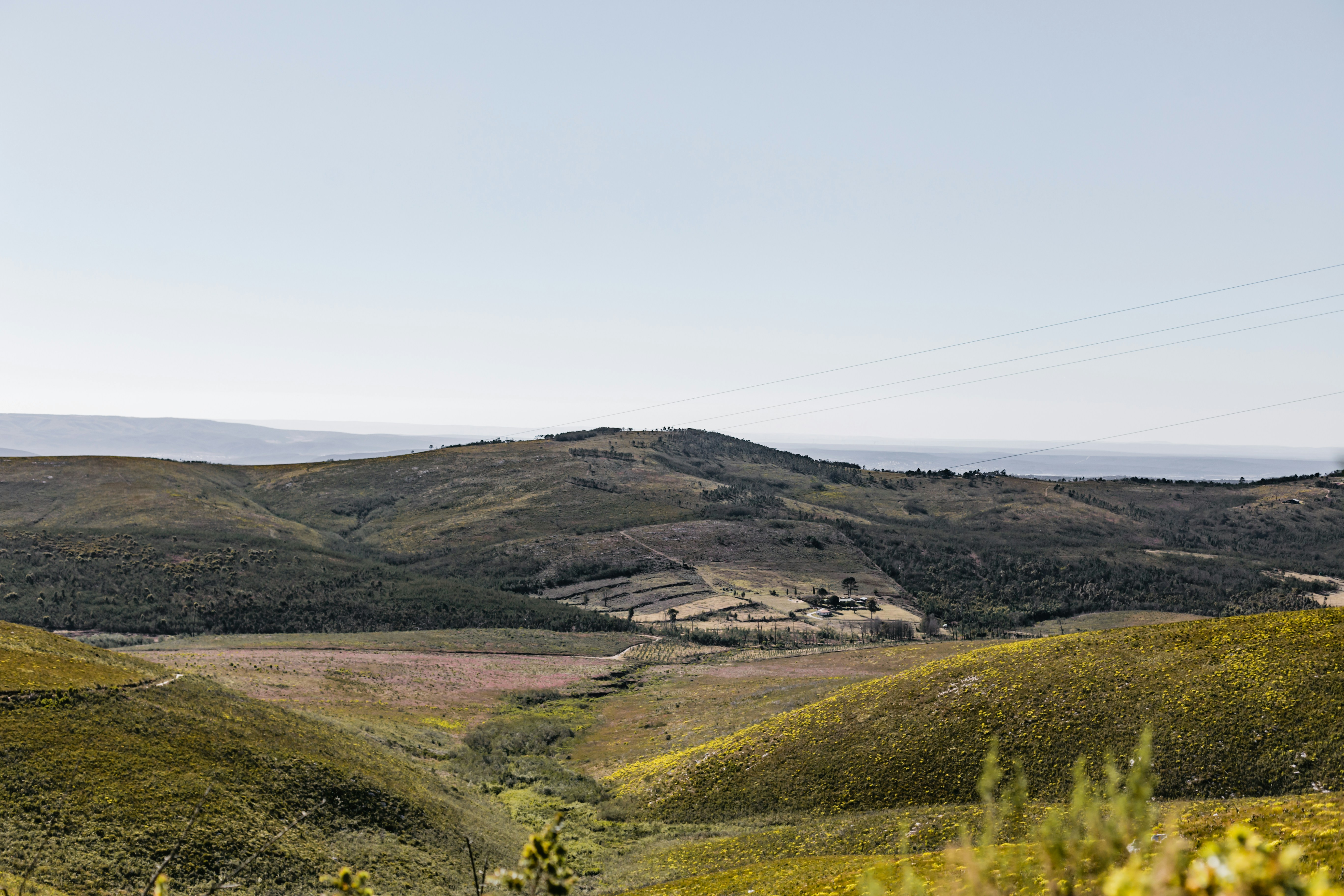 Photo by sincerelymedia