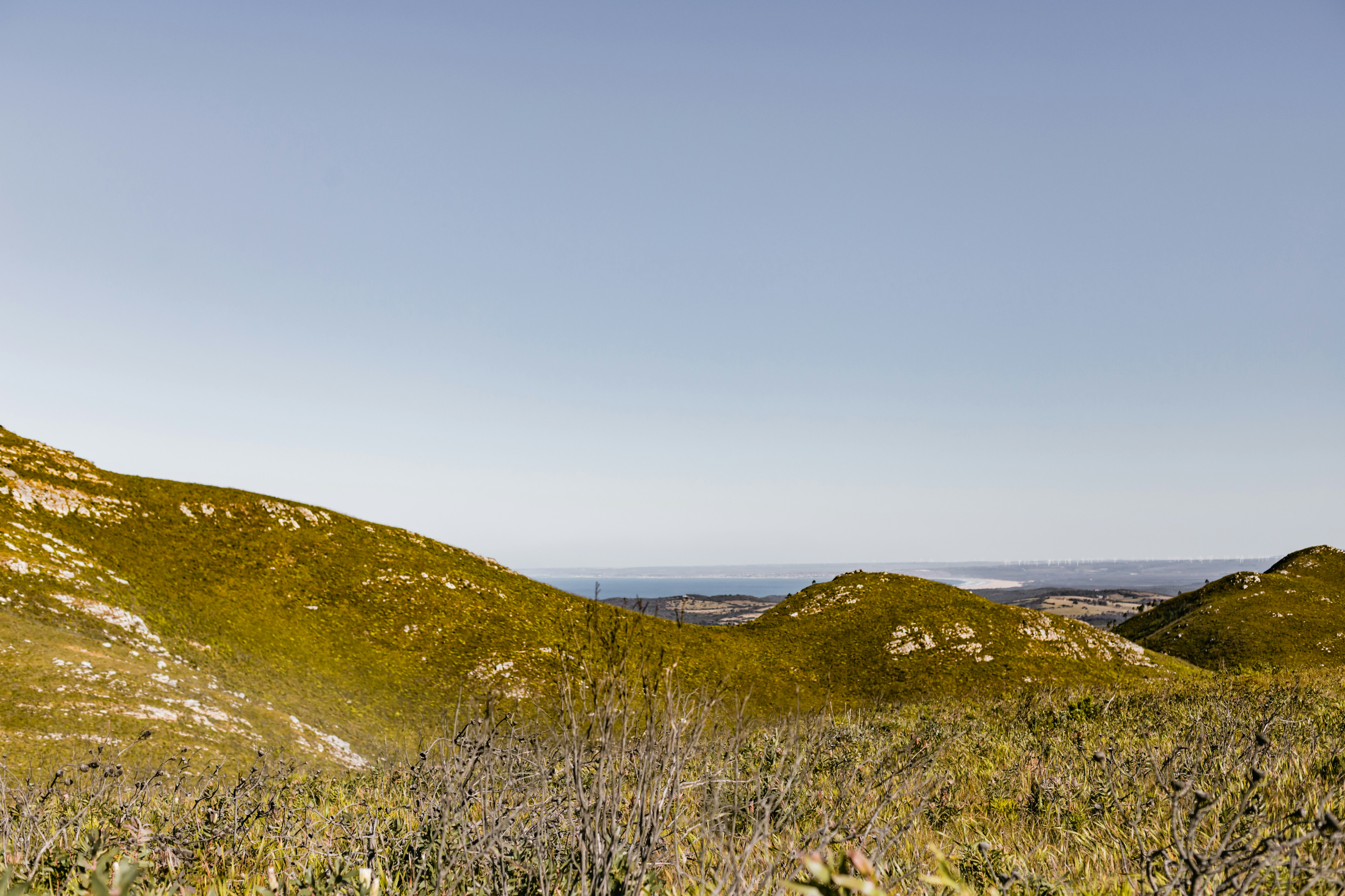 Photo by sincerelymedia