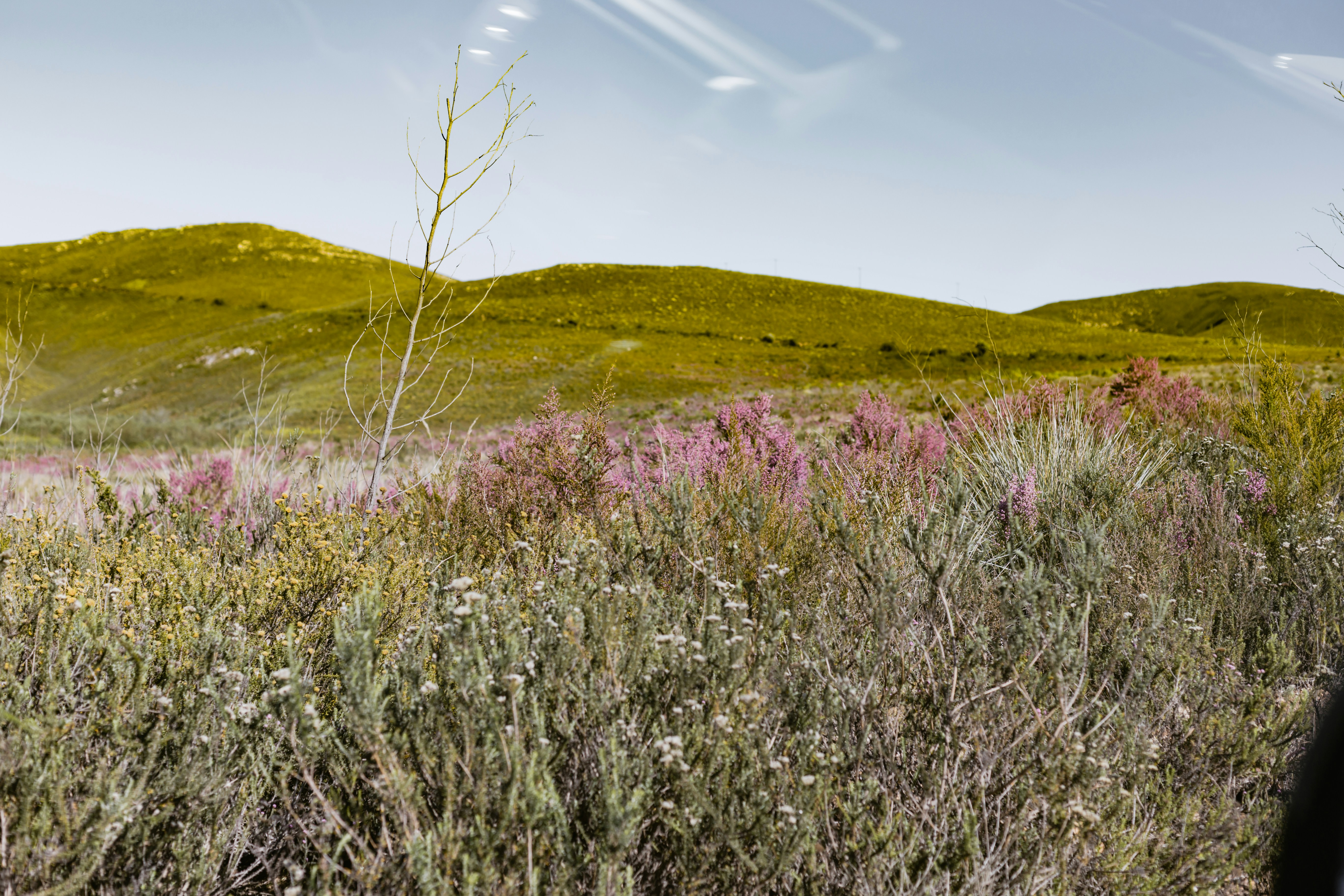 Photo by sincerelymedia