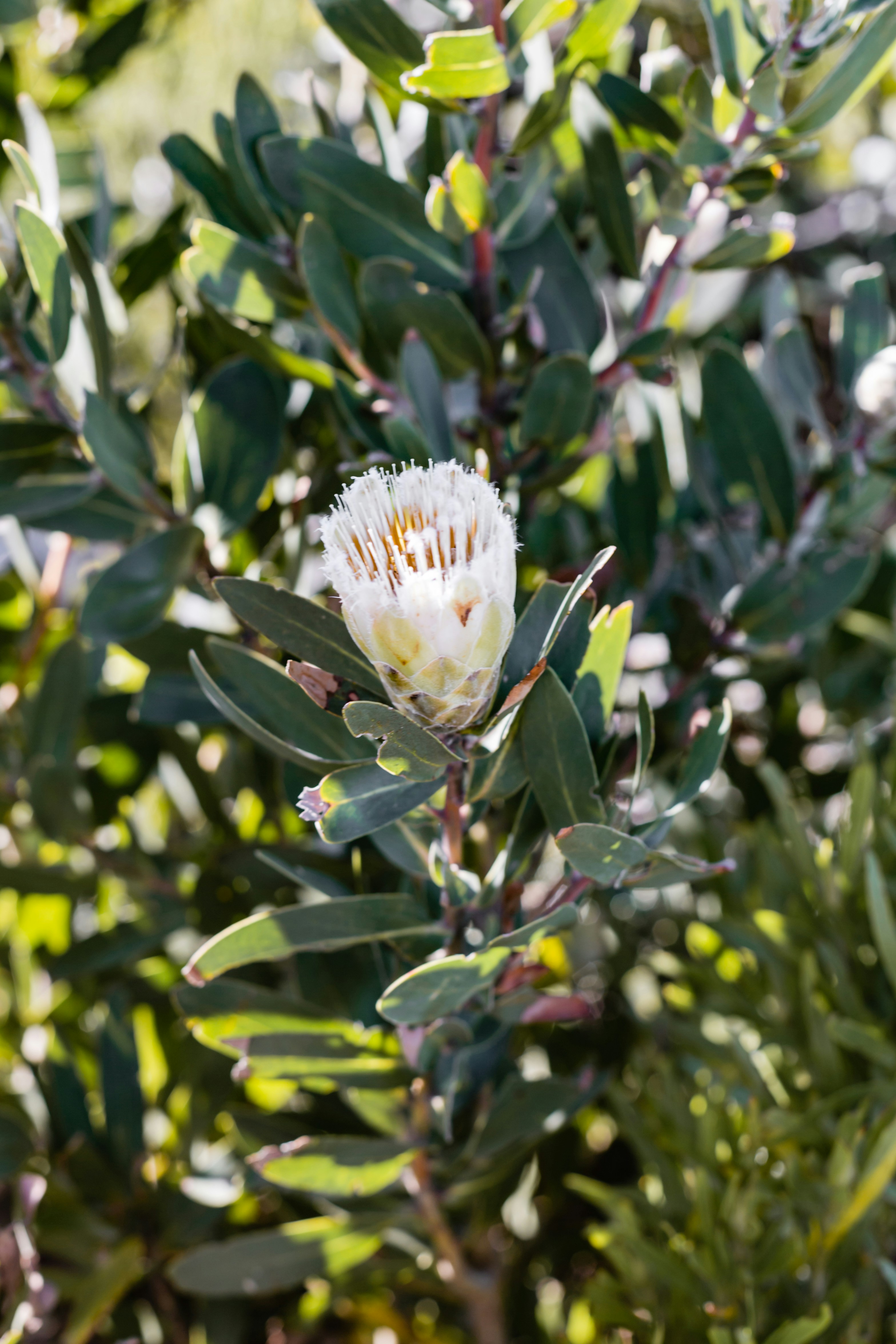 Photo by sincerelymedia