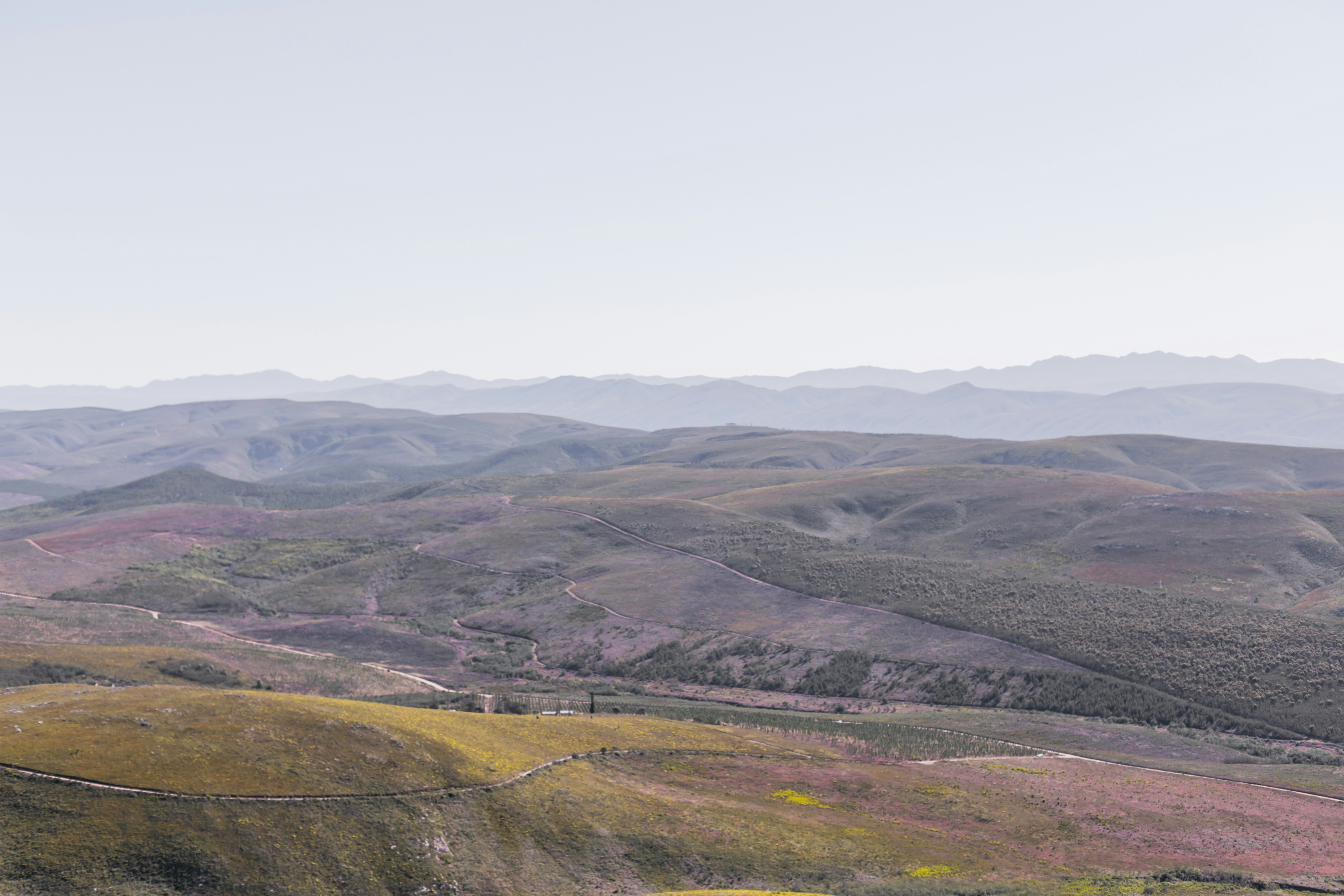 Photo by sincerelymedia