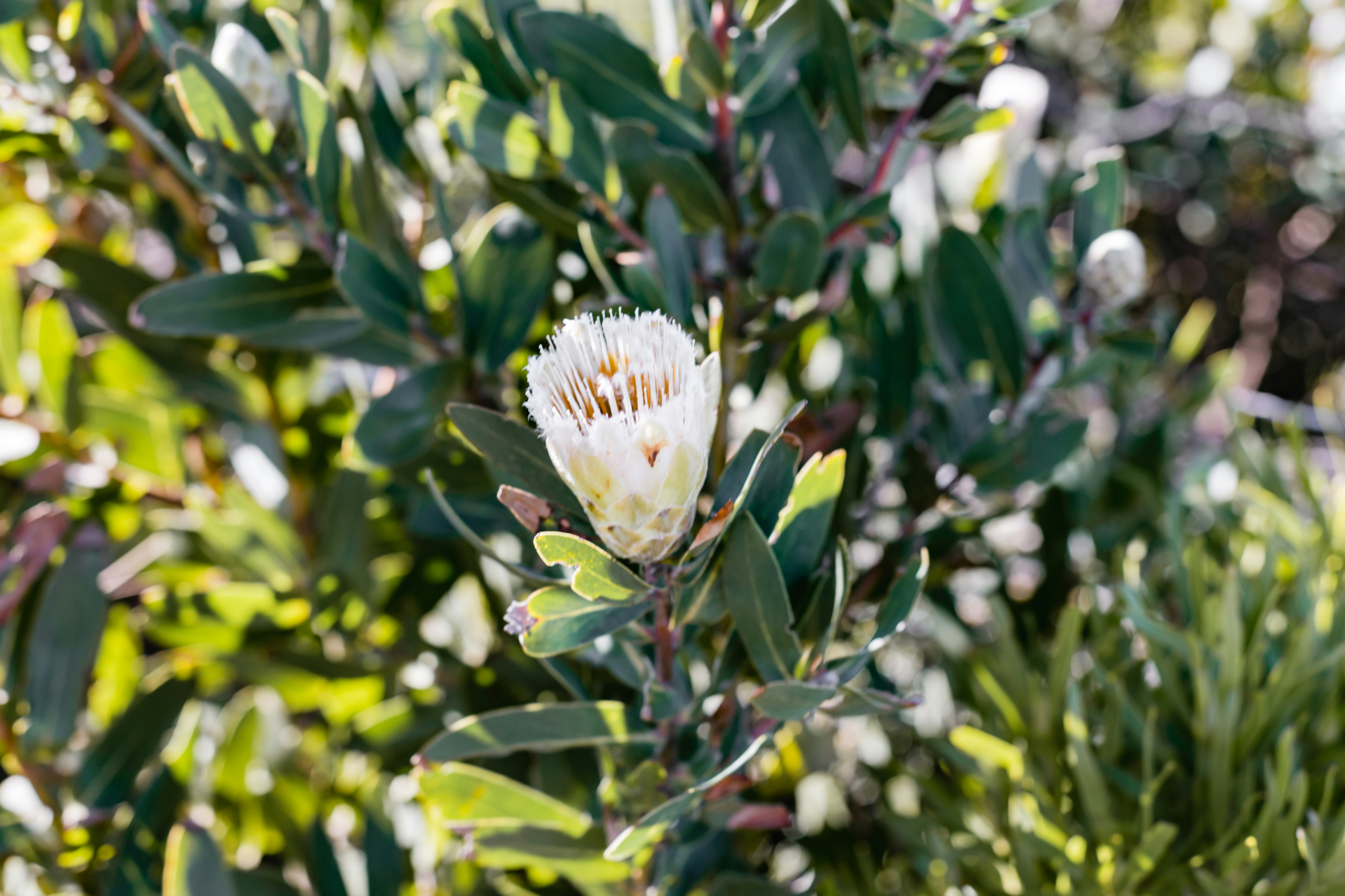 Photo by sincerelymedia