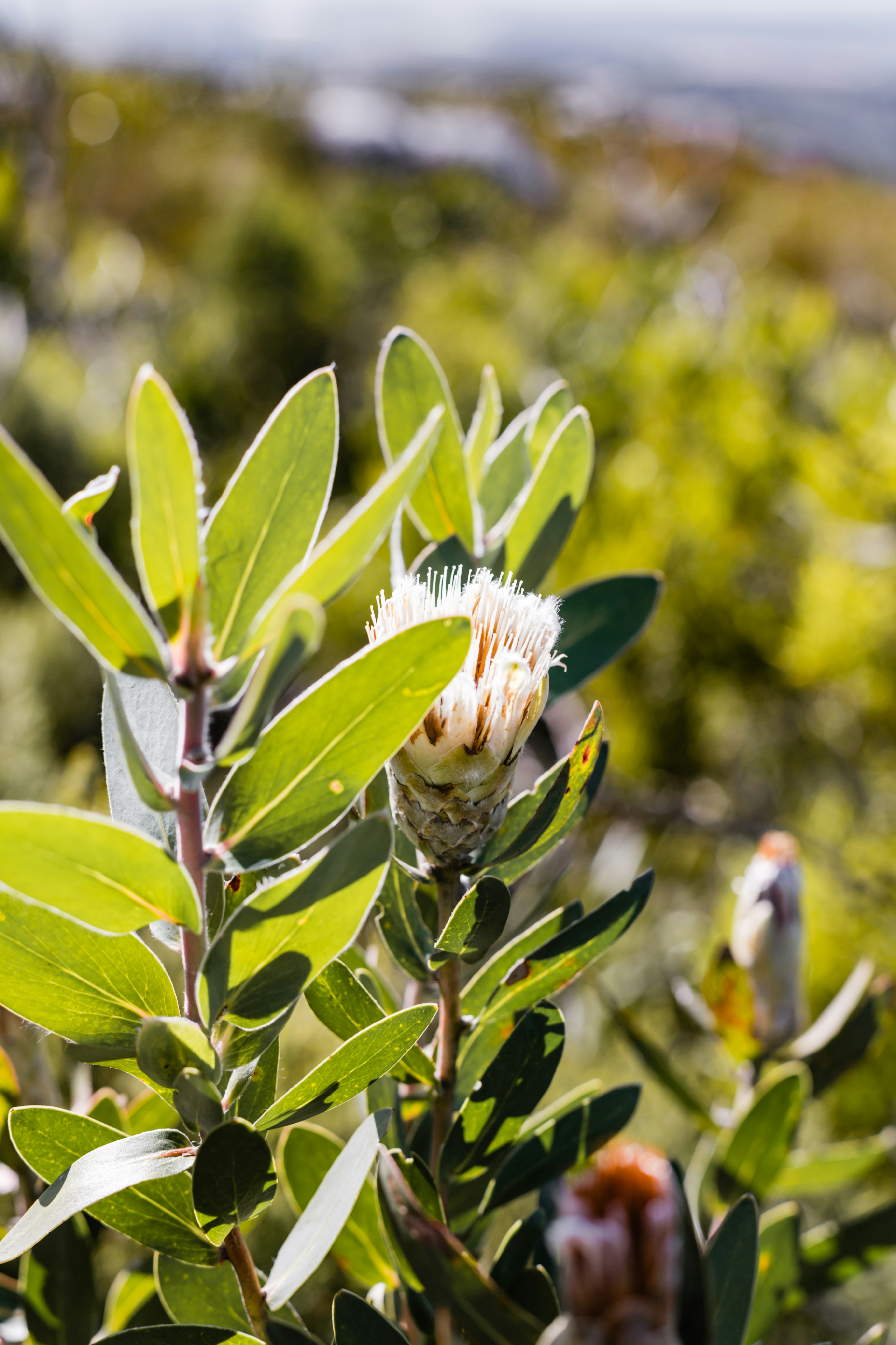 Photo by sincerelymedia