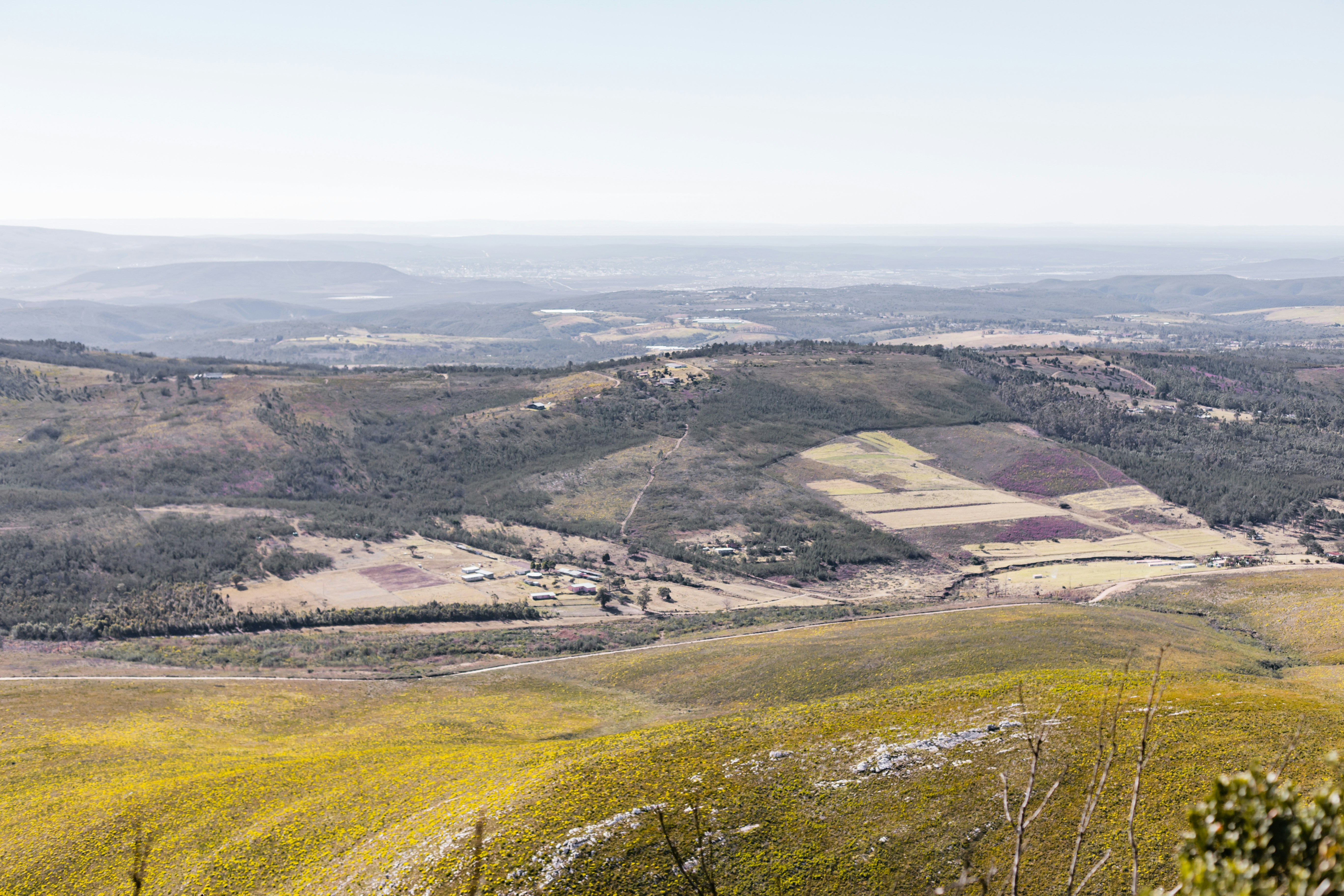 Photo by sincerelymedia