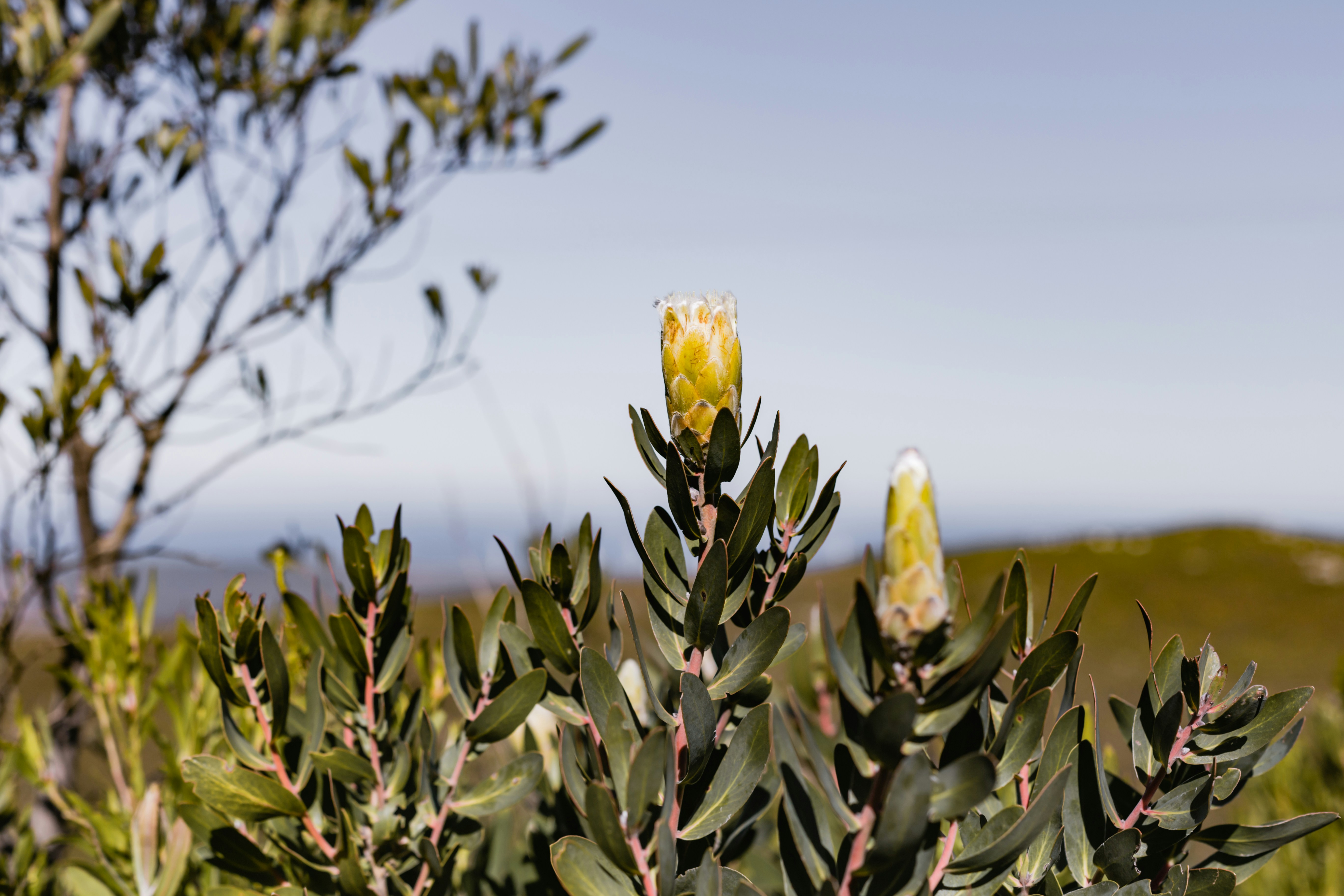 Photo by sincerelymedia