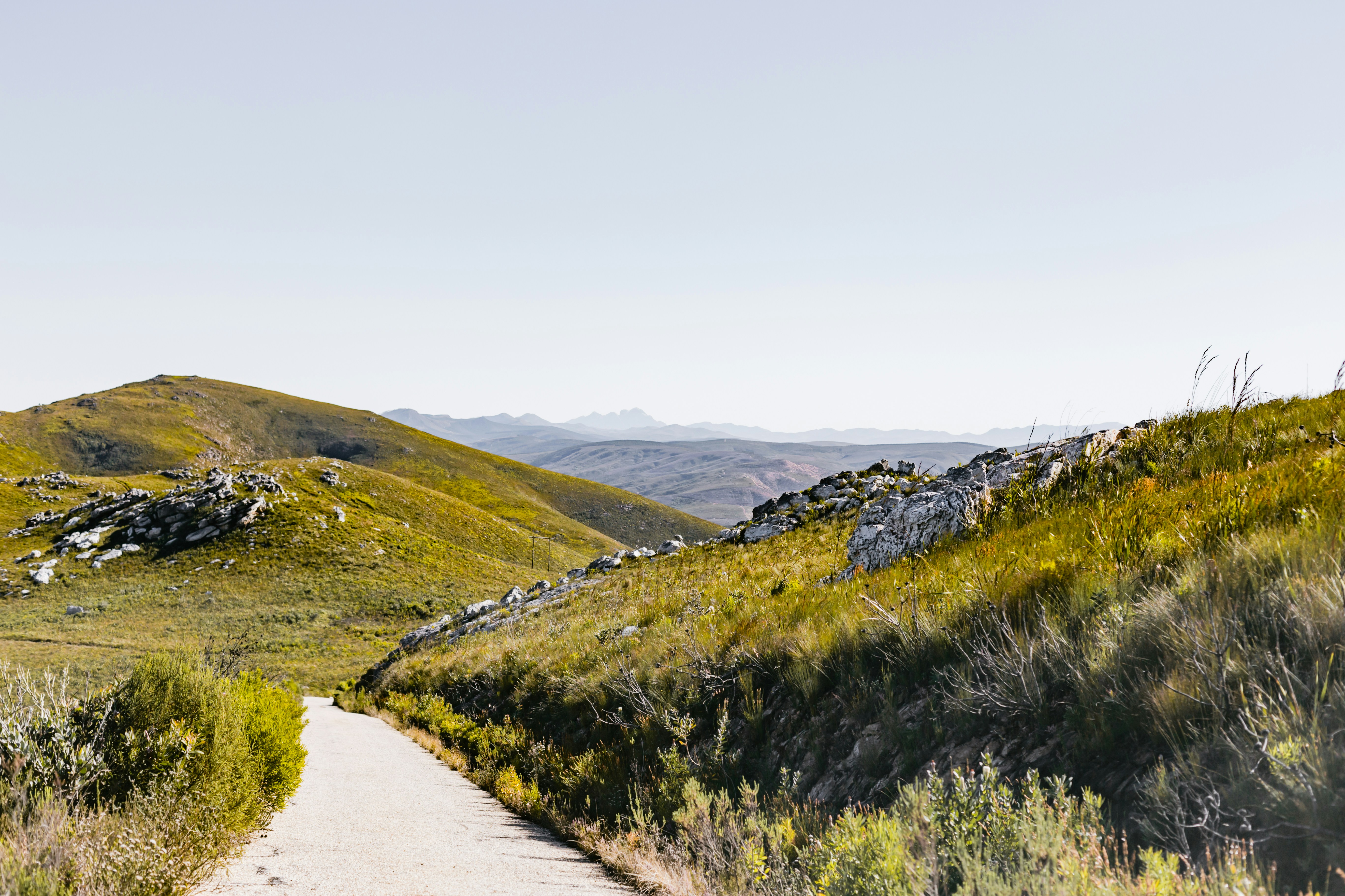 Photo by sincerelymedia