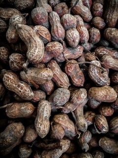 A close-up view of numerous unshelled peanuts, displaying varied shades of brown and textures typical of dried peanut shells. The irregular and compact arrangement creates a rustic and natural appearance.