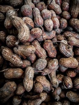A close-up view of numerous unshelled peanuts, displaying varied shades of brown and textures typical of dried peanut shells. The irregular and compact arrangement creates a rustic and natural appearance.
