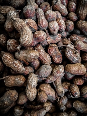 A close-up view of numerous unshelled peanuts, displaying varied shades of brown and textures typical of dried peanut shells. The irregular and compact arrangement creates a rustic and natural appearance.