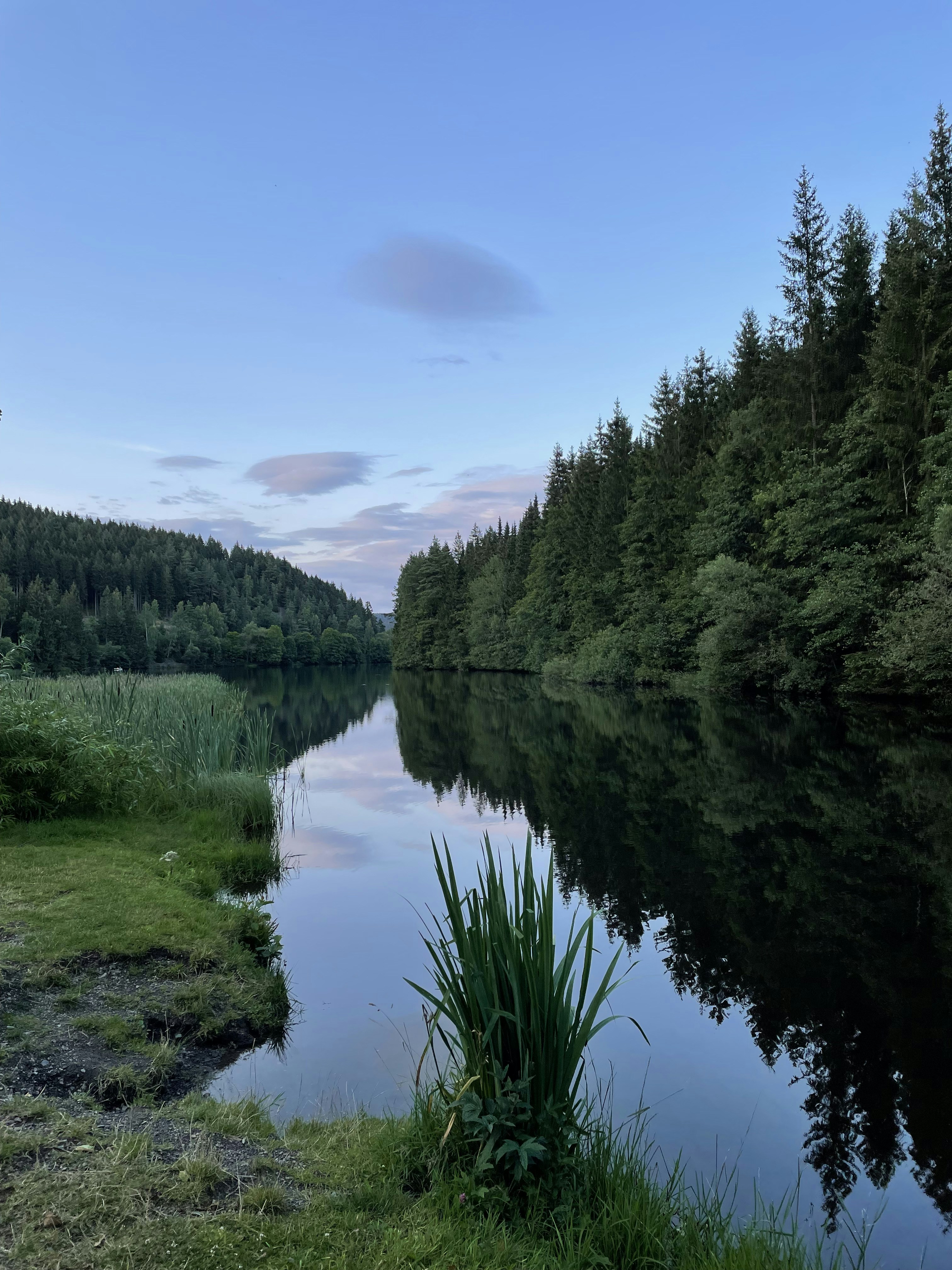 Photo by henkjurriens