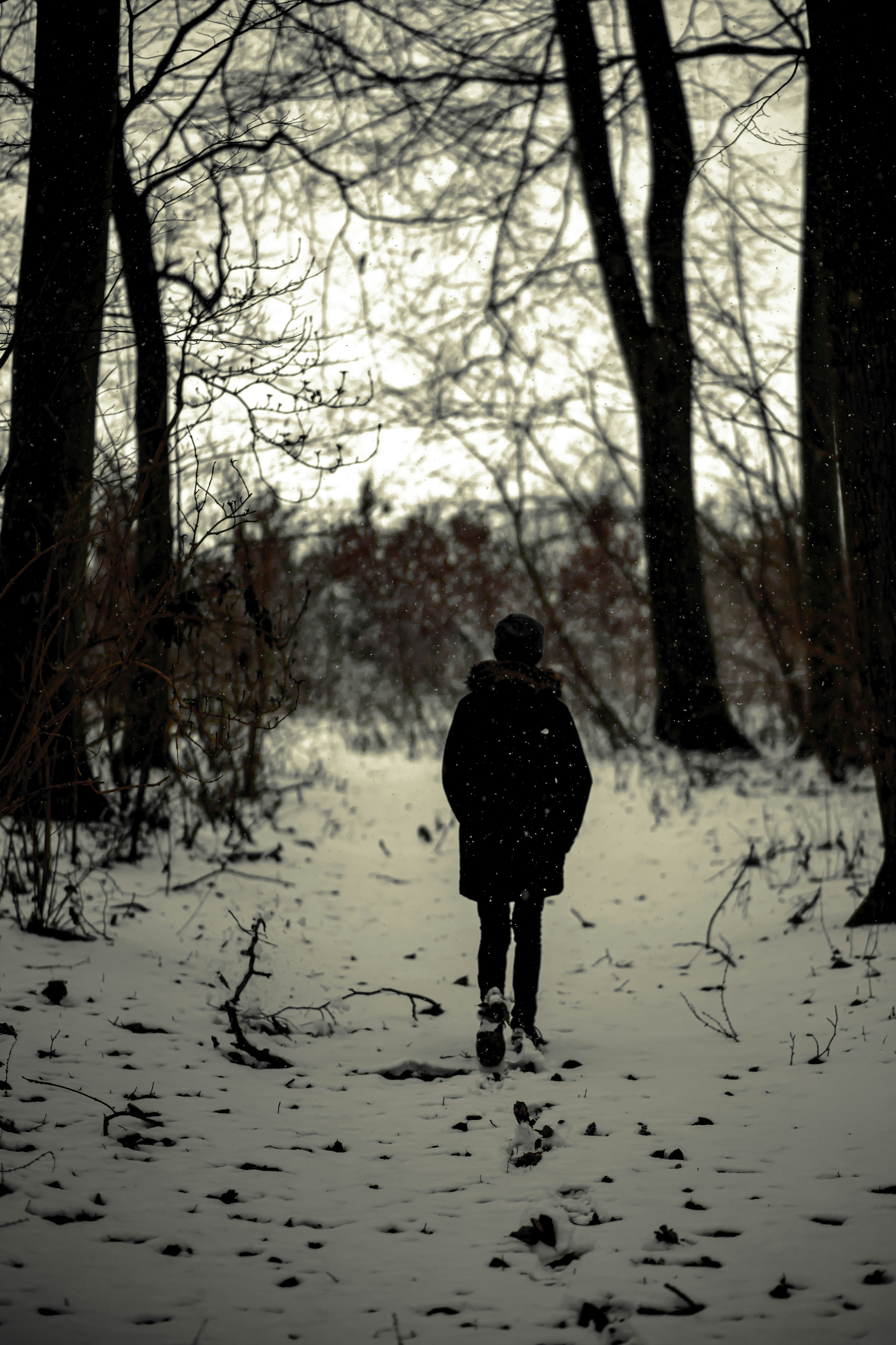 Photo by zeihlund