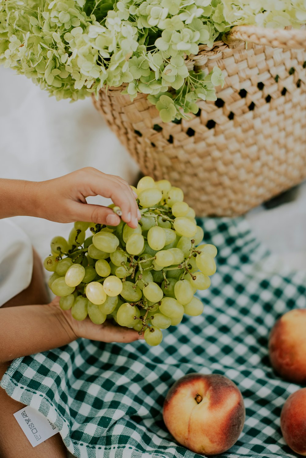 person holding white grapes on brown woven basket