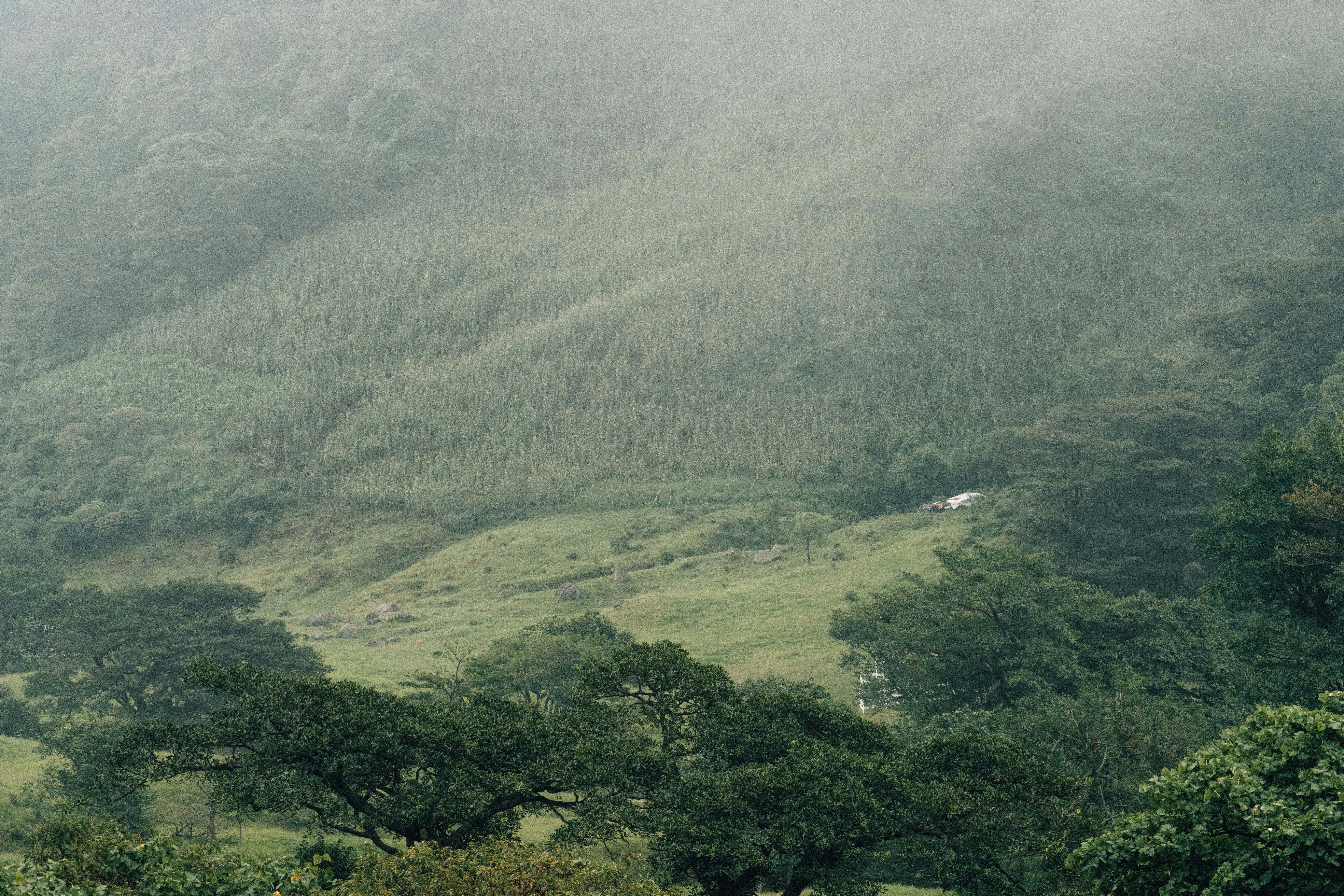 Photo by annastampfli