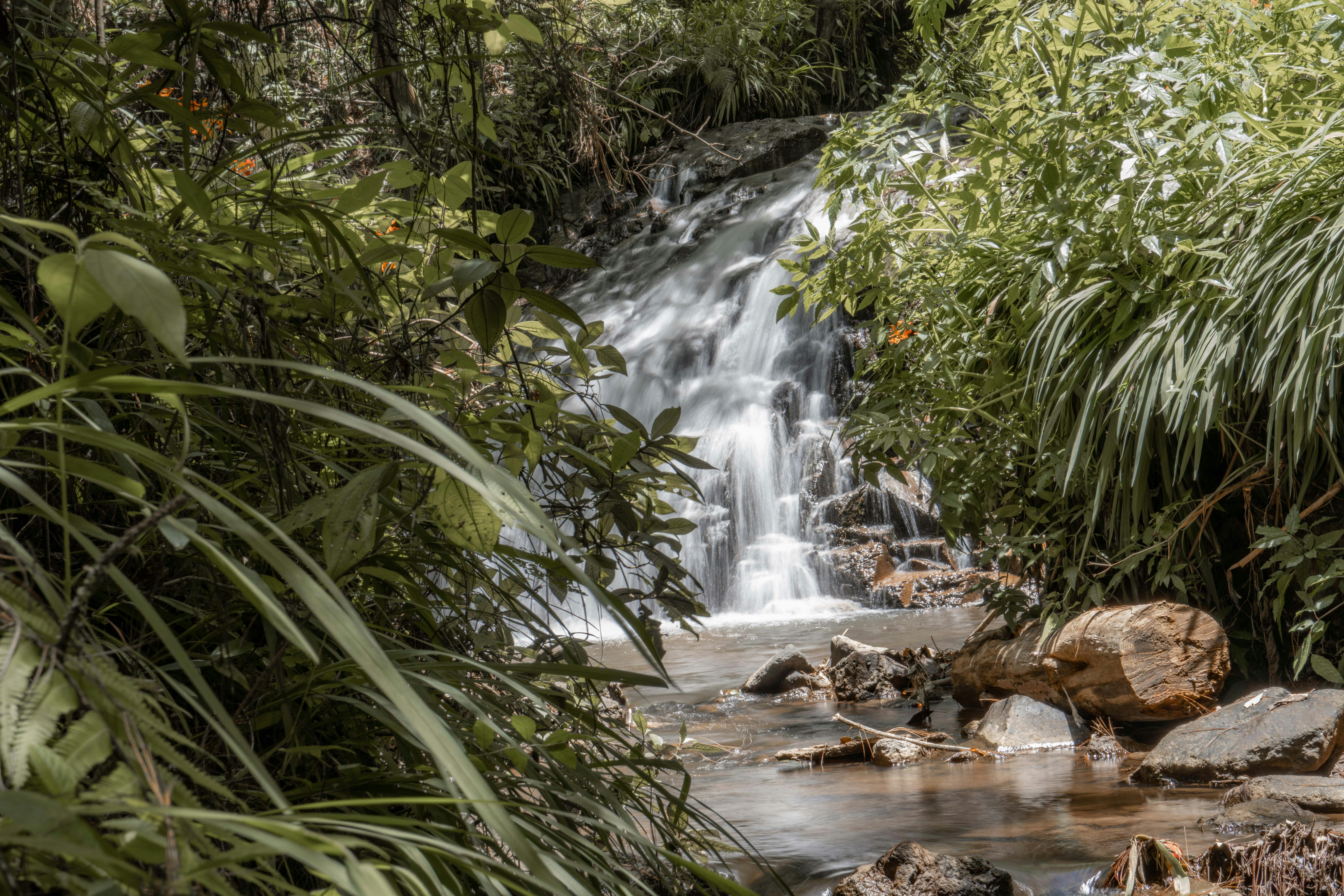 Photo by annastampfli