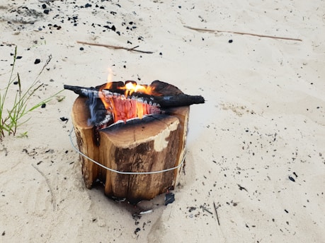 A wooden log with a fire burning in the center is placed on a sandy beach. The log is split in the middle, allowing flames to rise from the interior. A metal wire wraps around the base to maintain its structure. Scattered ash and small debris surround the log, while some green grass grows nearby.