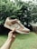 A satisfied customer showcasing their new sneakers outdoors.
