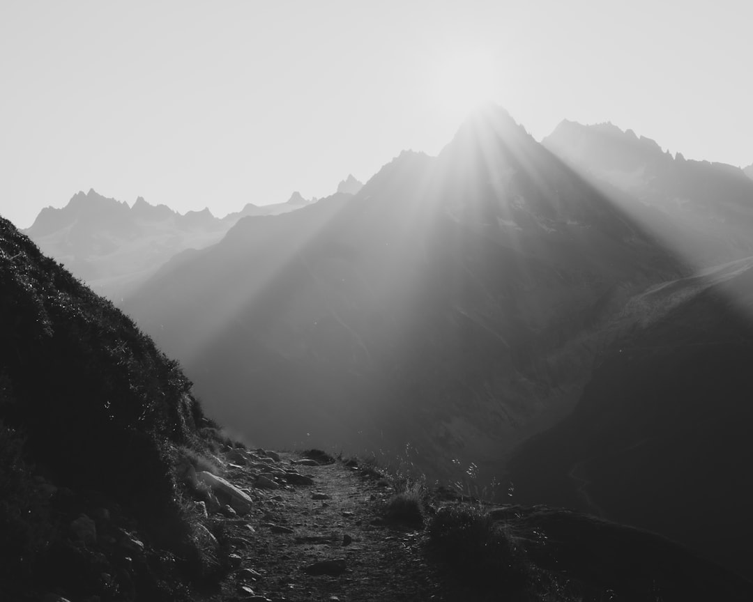 grayscale photo of mountains and trees