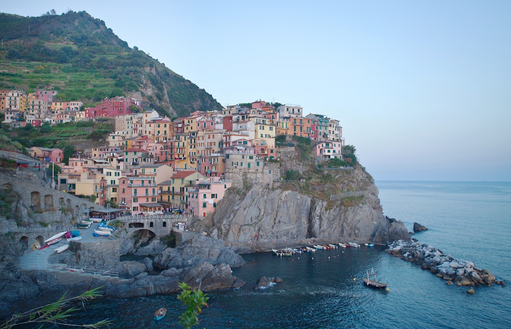 houses on mountain near body of water during daytime