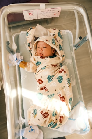 A newborn baby is swaddled in a patterned blanket featuring colorful owl designs. The baby is lying in a hospital bassinet, with a small sign above the head providing details about the birth. The baby is wearing a tiny cap and appears to be peacefully resting.