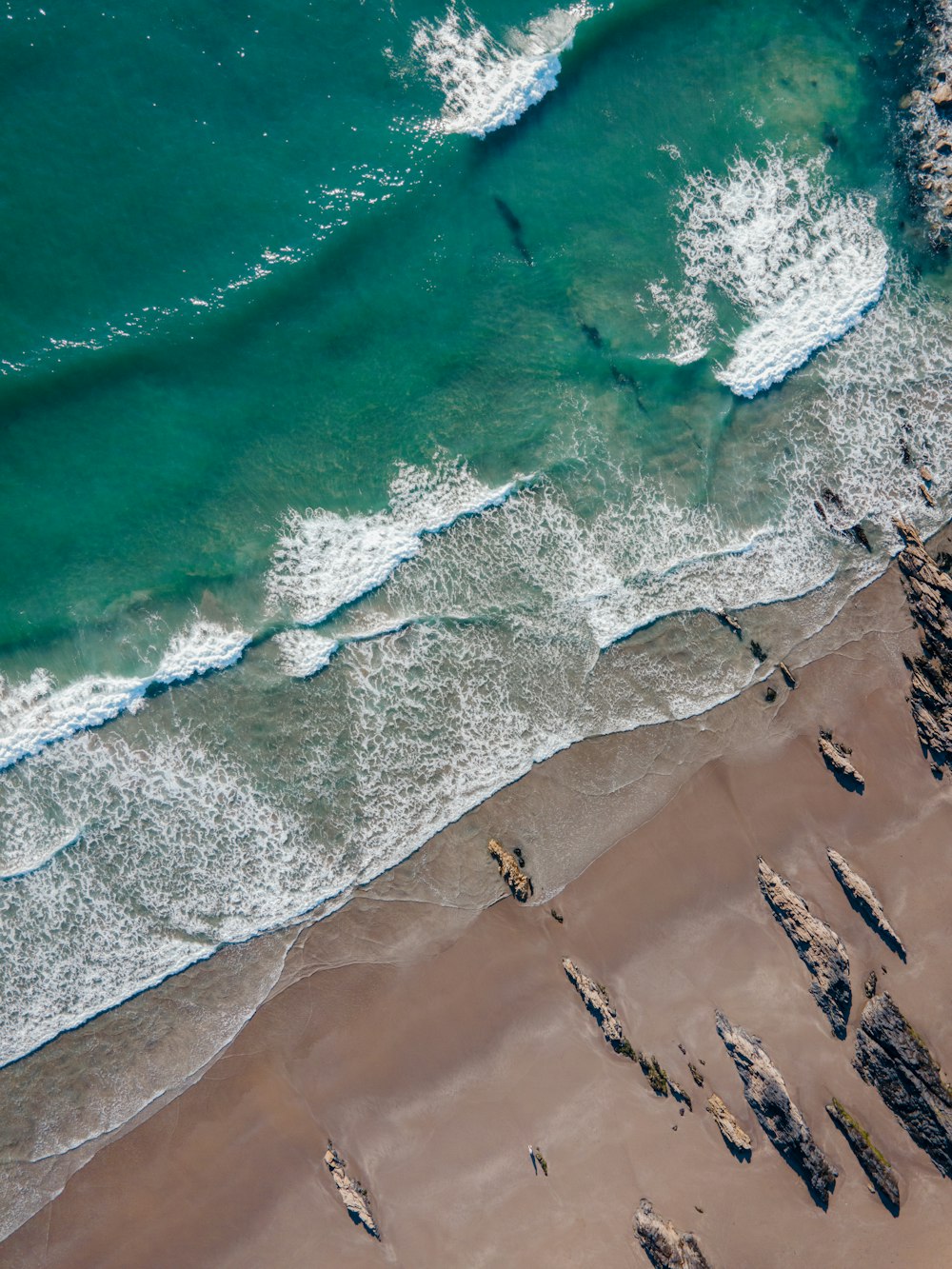 aerial view of people on beach during daytime